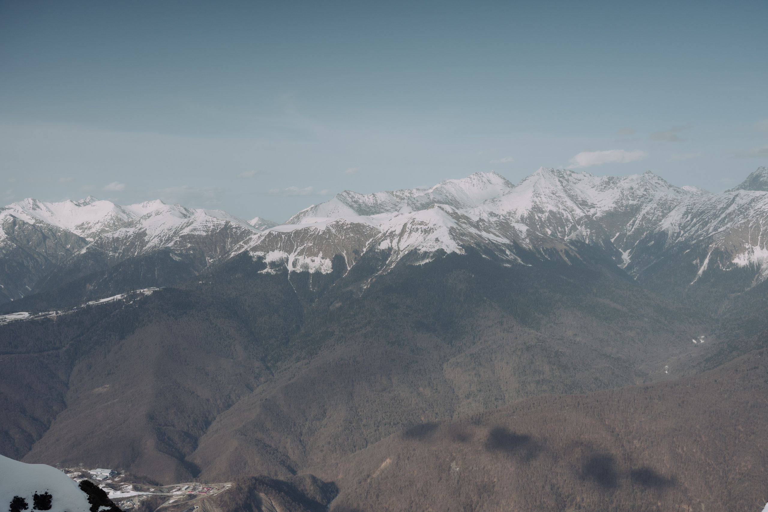 Yandex 360 & NewStarCamp