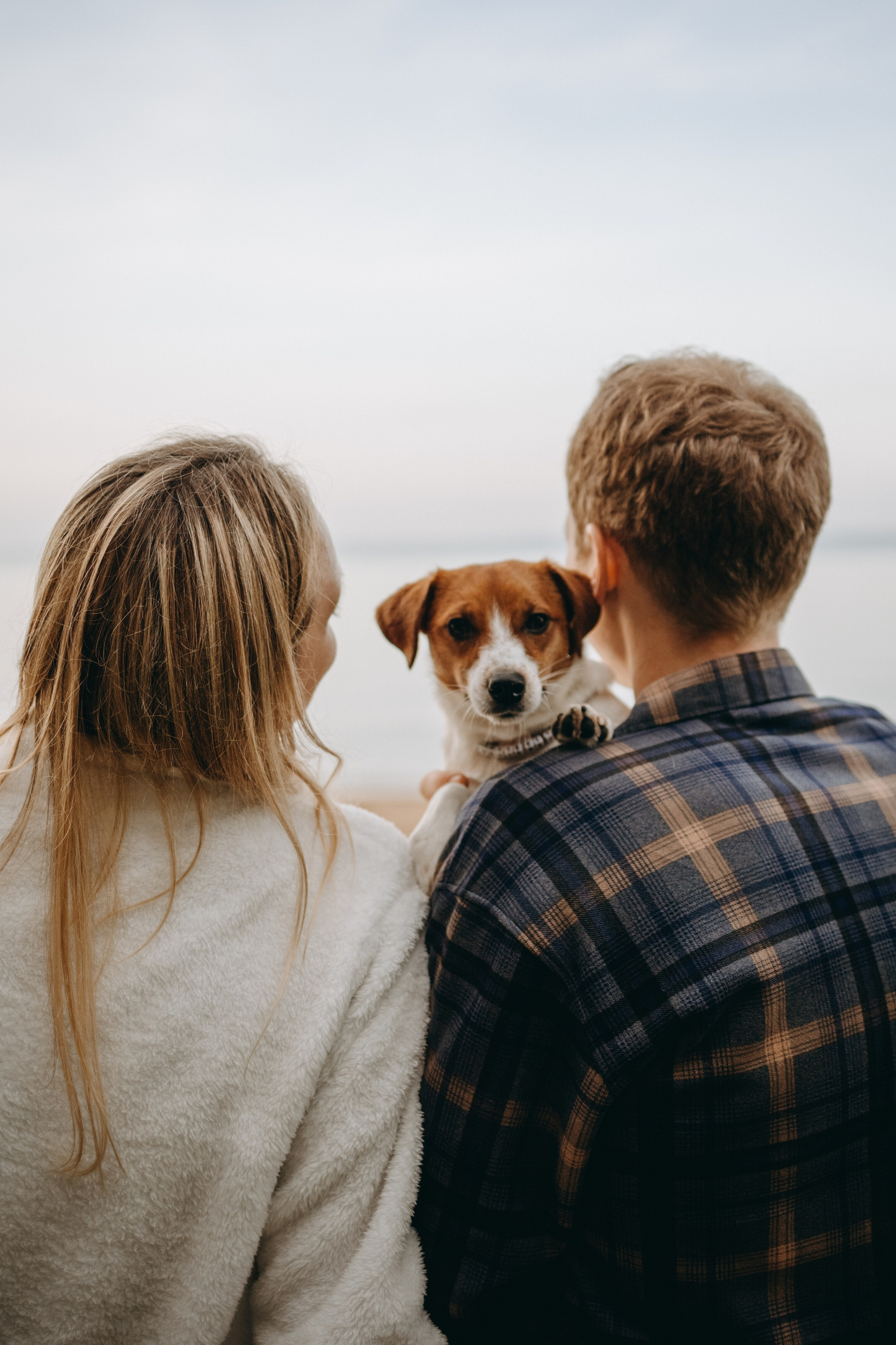 Лея и ее семья. Фотограф — Анималист | Санкт-Петербург