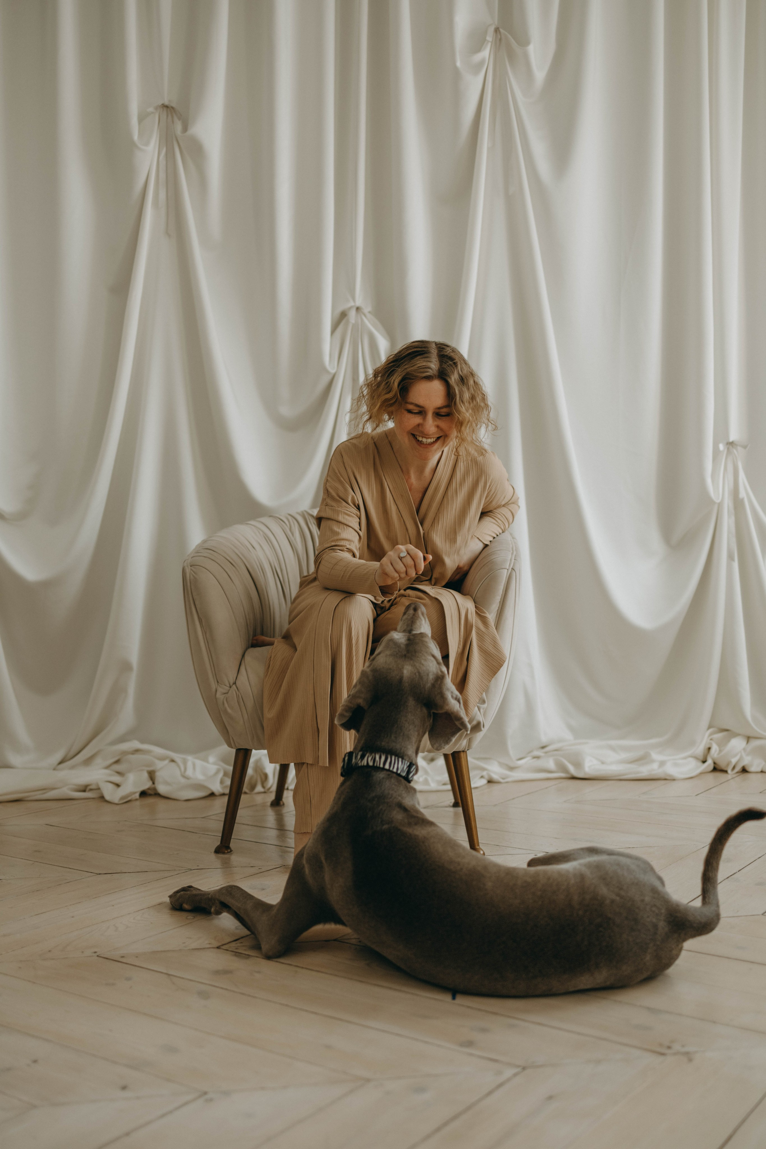 Фотосессия в студии с собакой. Фотограф-анималист в Екатеринбурге | Кристина