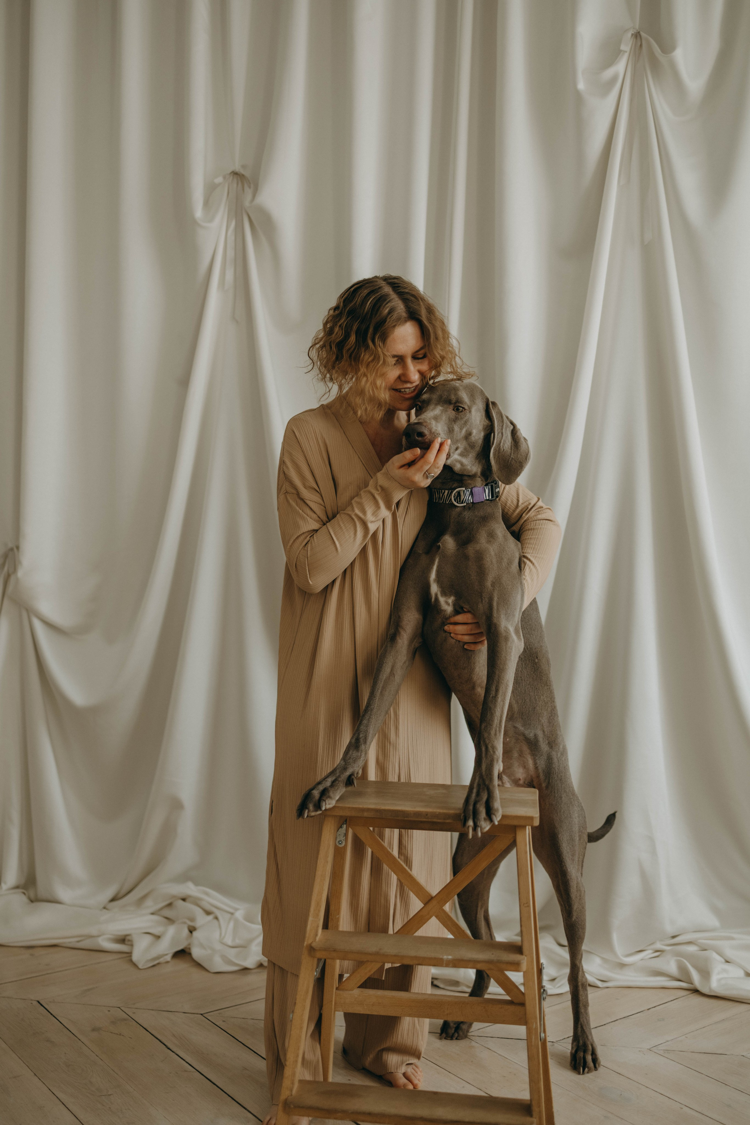 Фотосессия в студии с собакой. Фотограф-анималист в Екатеринбурге | Кристина