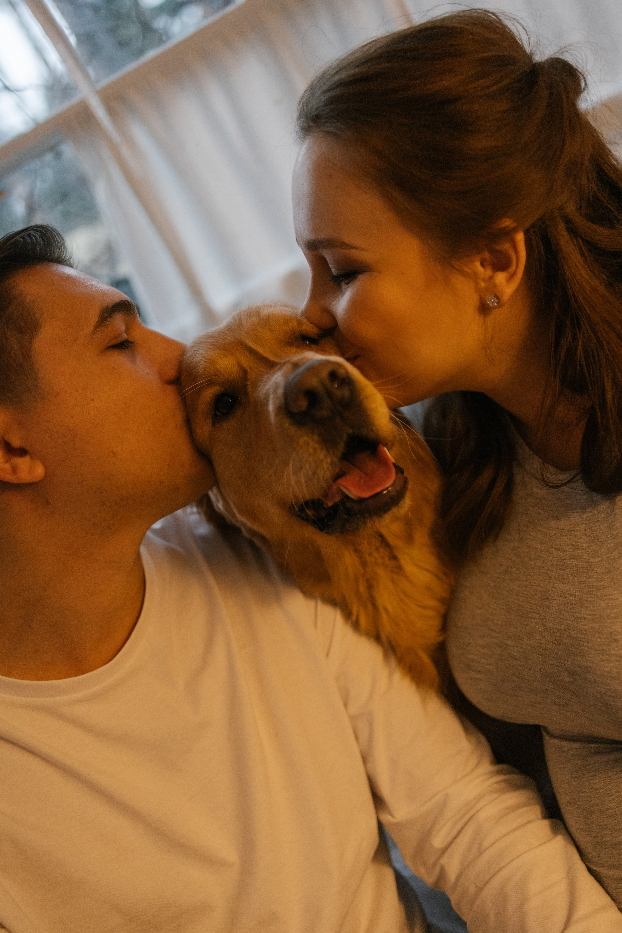 Вегас, Веник и их семья. Фотограф — Анималист | Санкт-Петербург