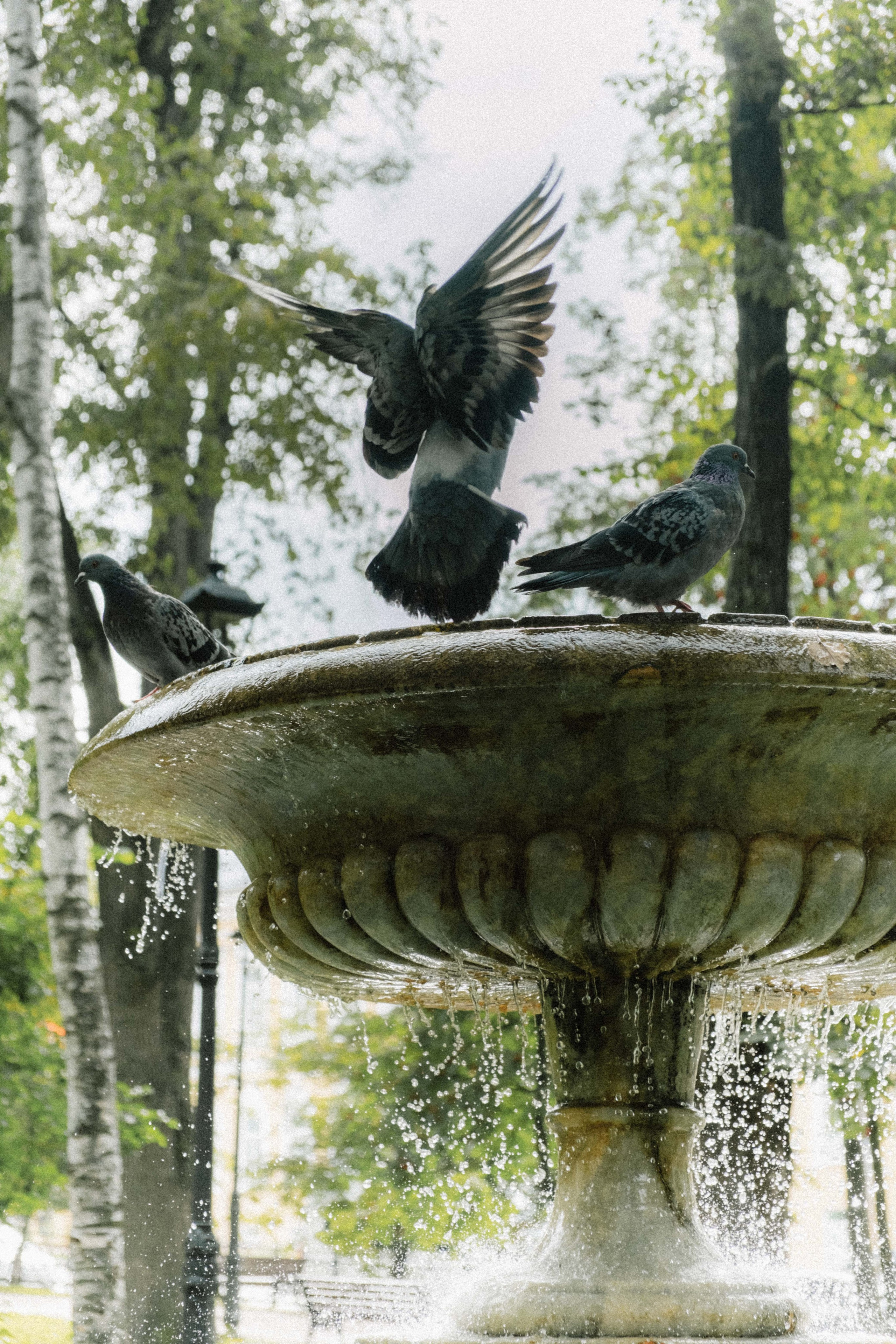 Замечательная повседневность. Контент-фотограф и видеограф в Перми