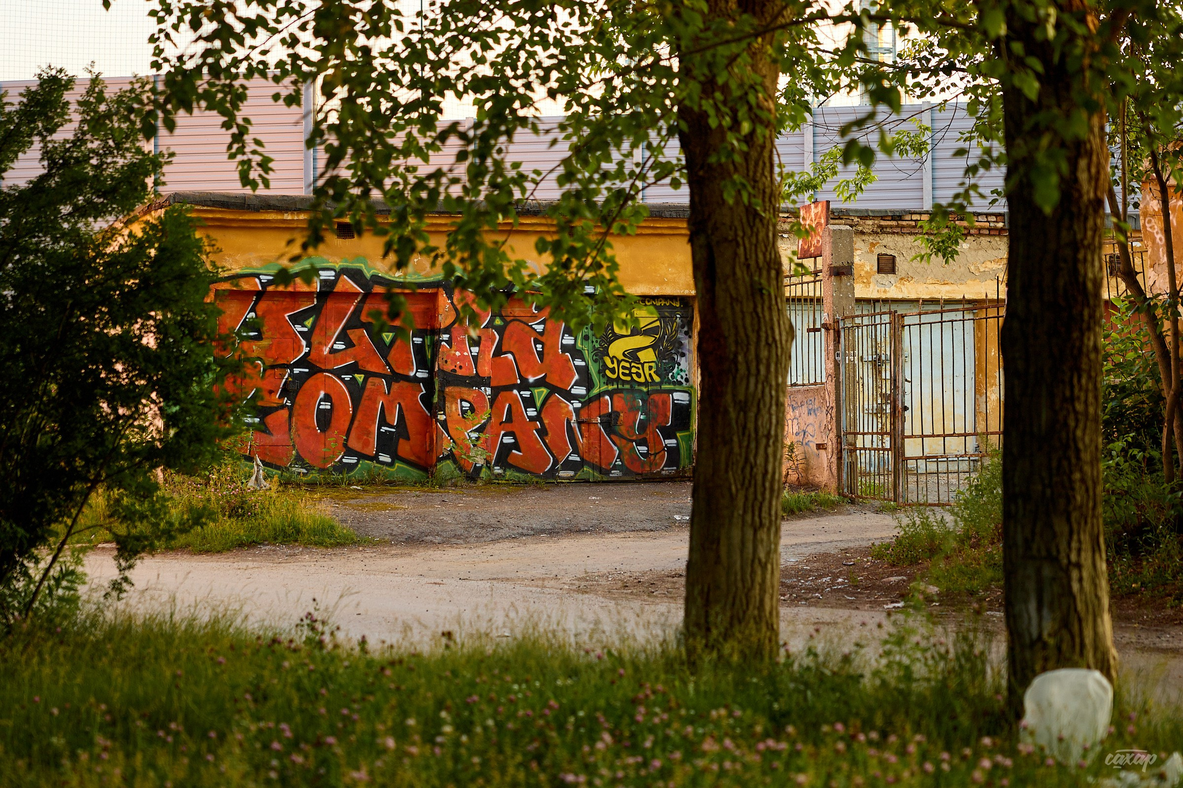 Не чай с Сахаром #5 от 17.07.2024. Профессиональный фотограф в Екатеринбурге Юра Сахар