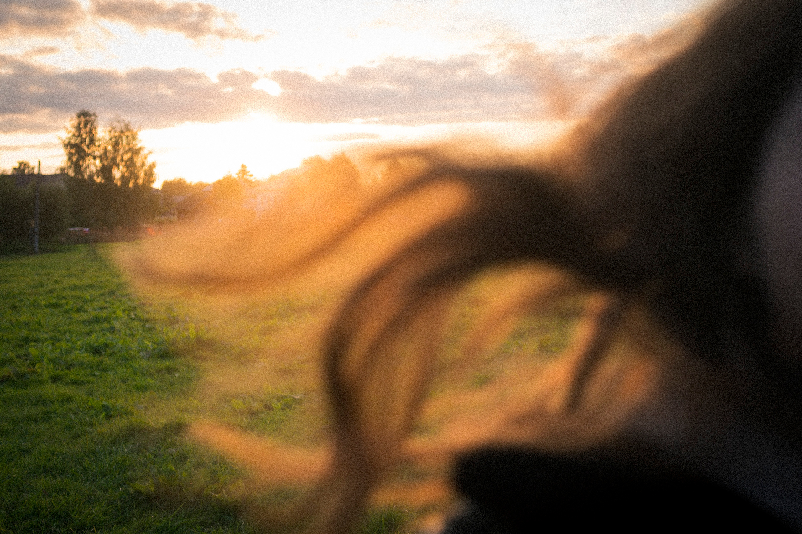 Vladimir — Suzdal trip. Kartascheff