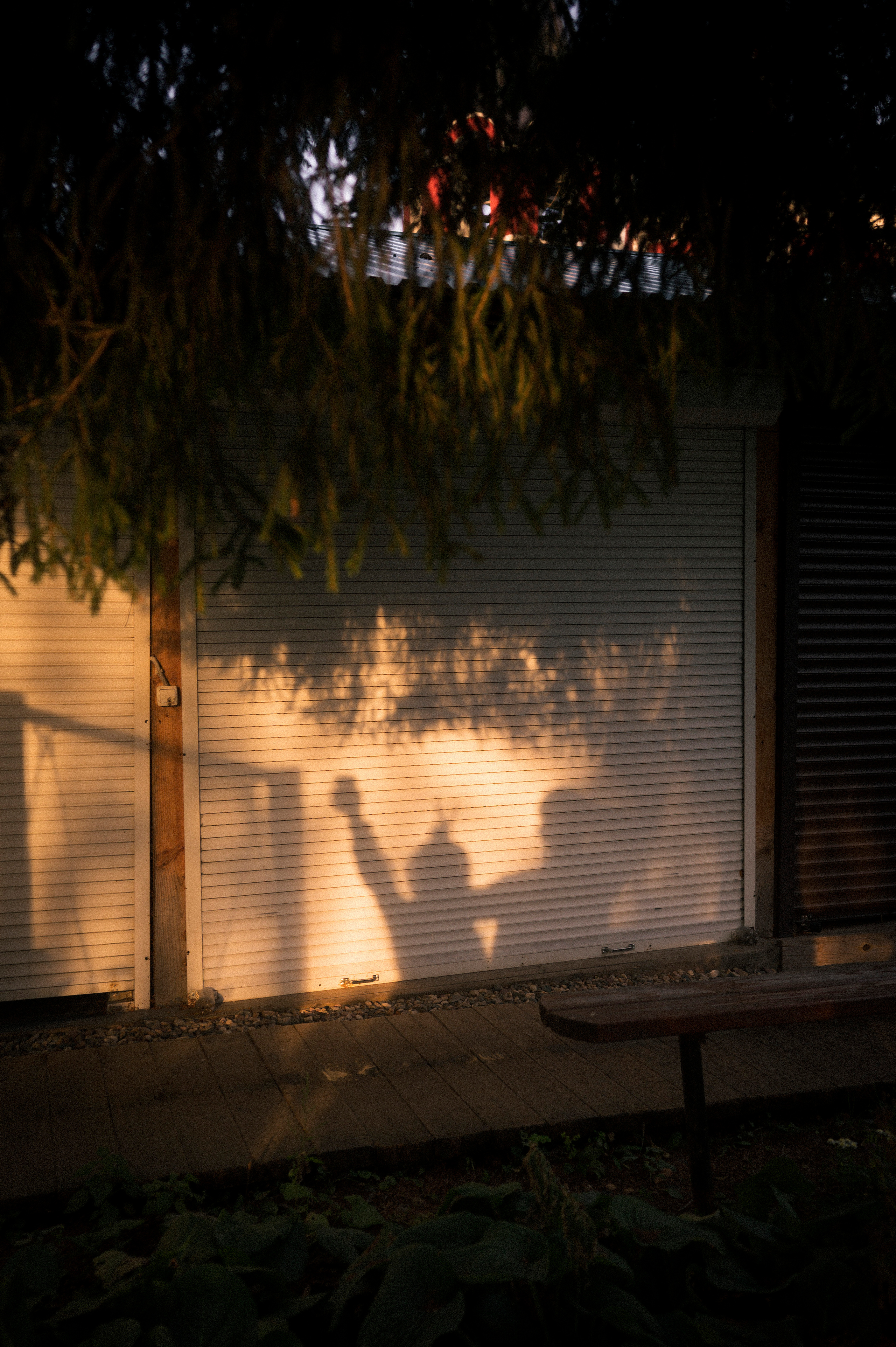 Vladimir — Suzdal trip. Kartascheff