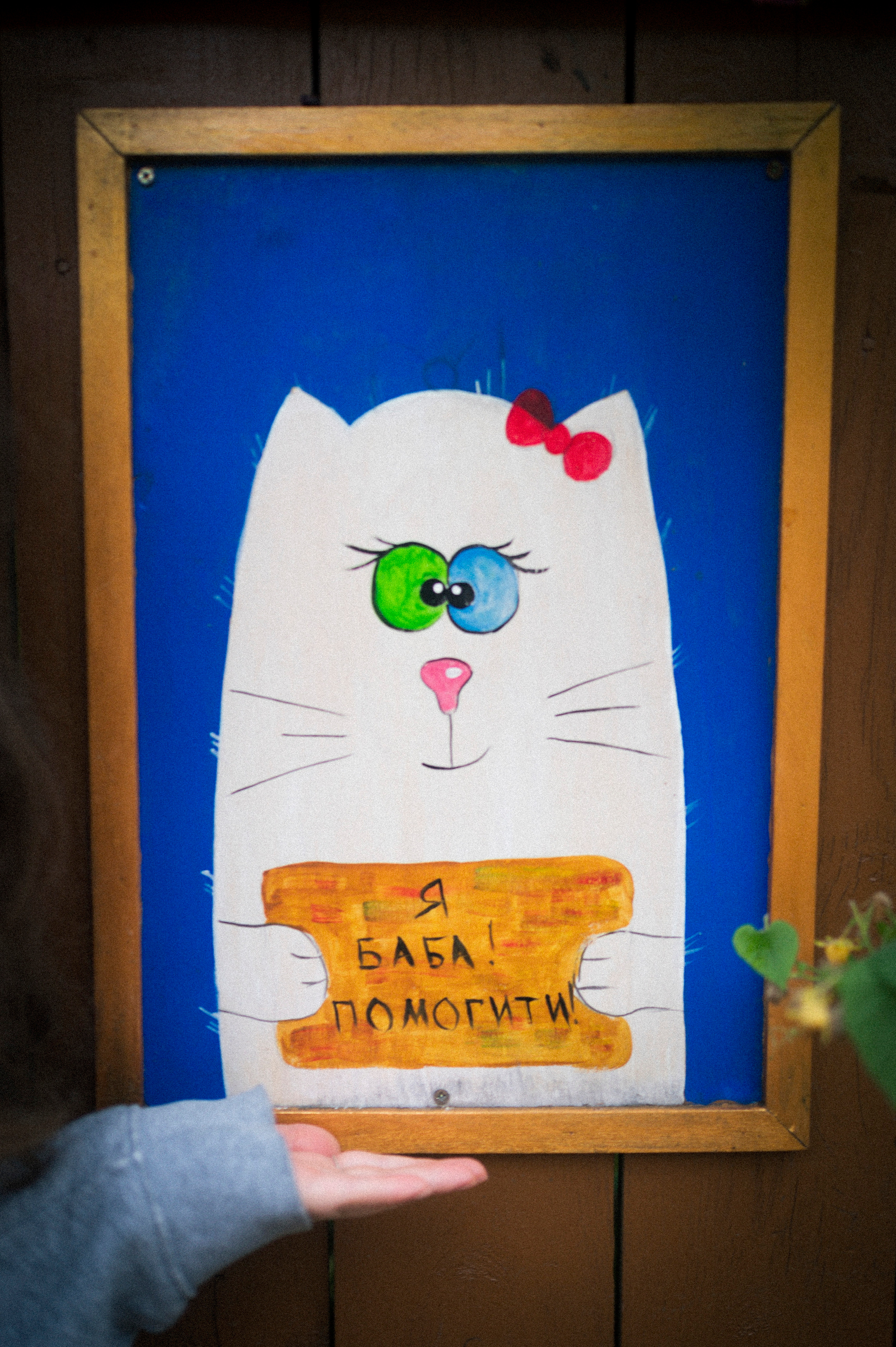 Vladimir — Suzdal trip. Kartascheff