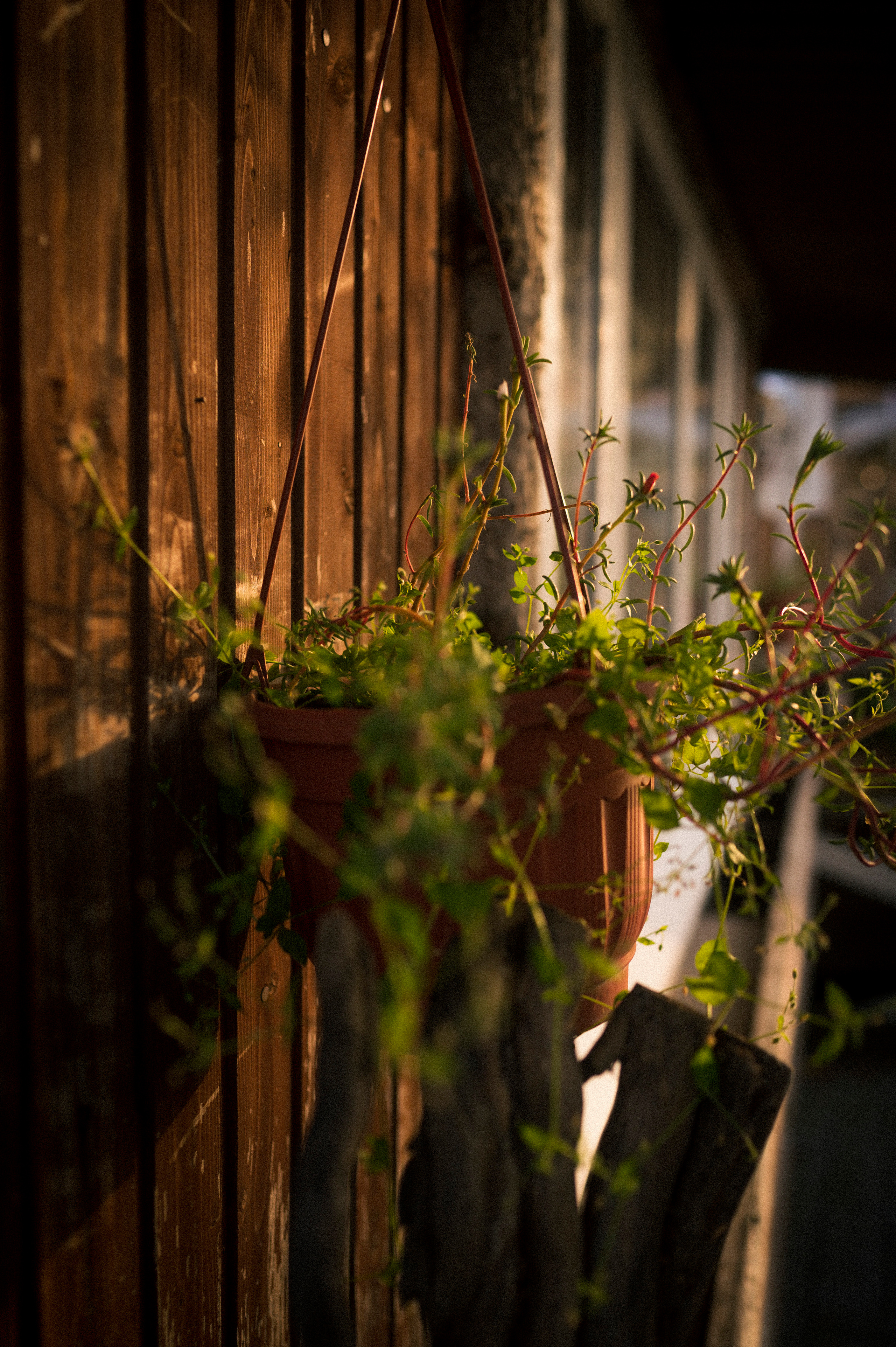 Vladimir — Suzdal trip. Kartascheff