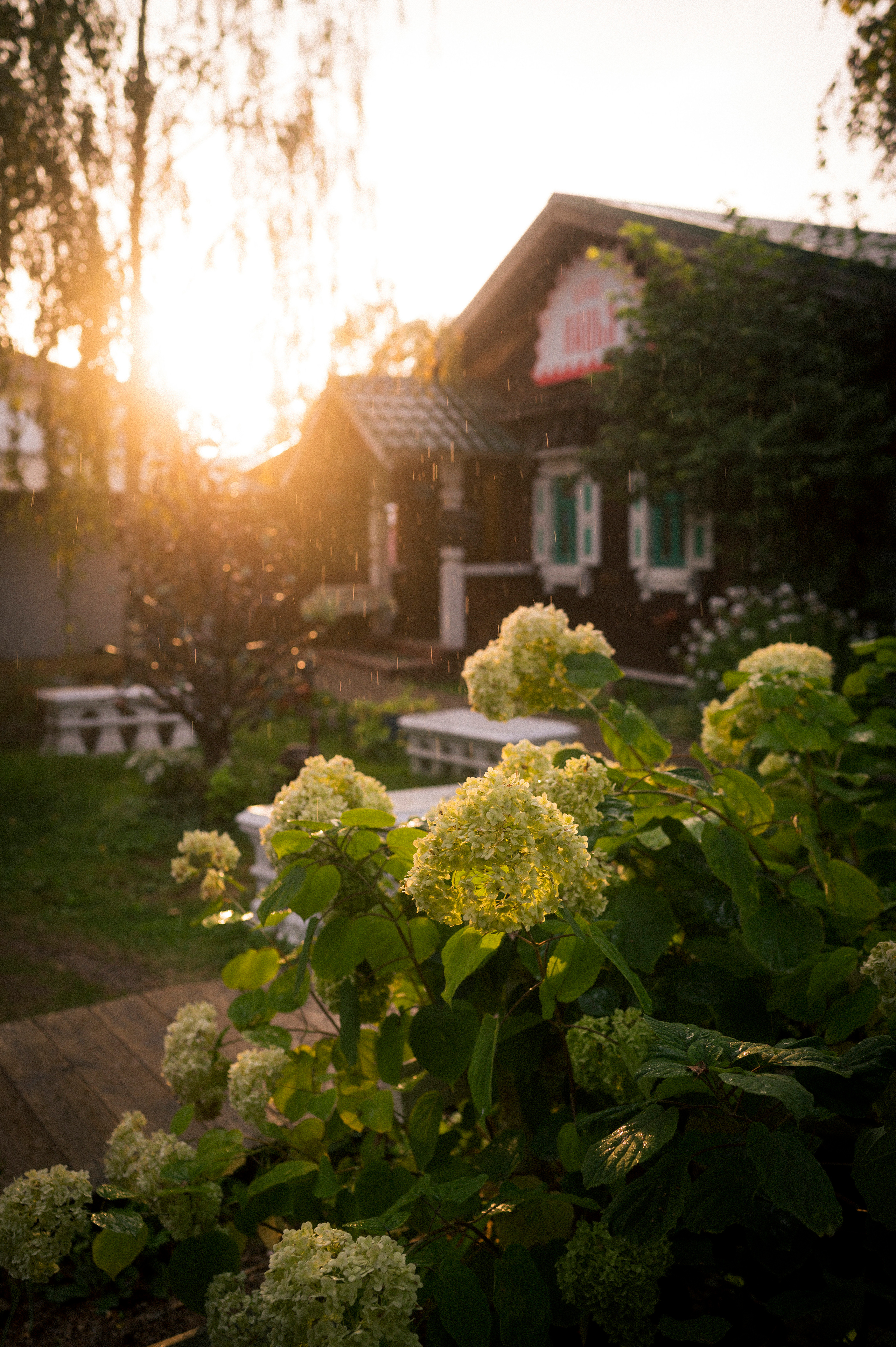 Vladimir — Suzdal trip. Kartascheff