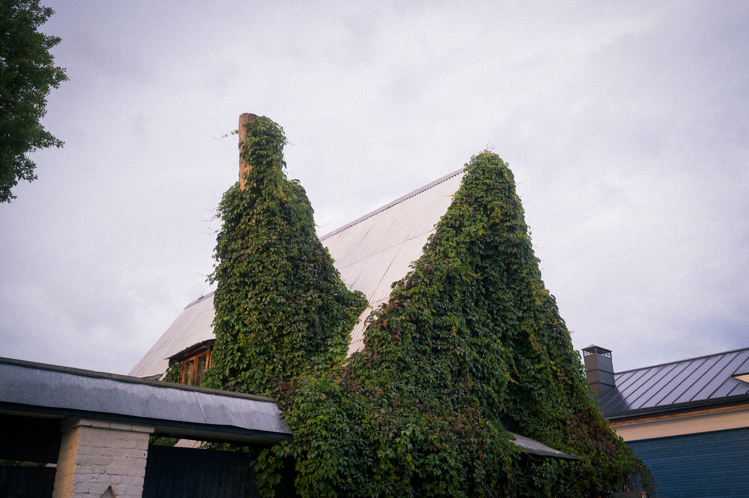 Vladimir — Suzdal trip. Kartascheff