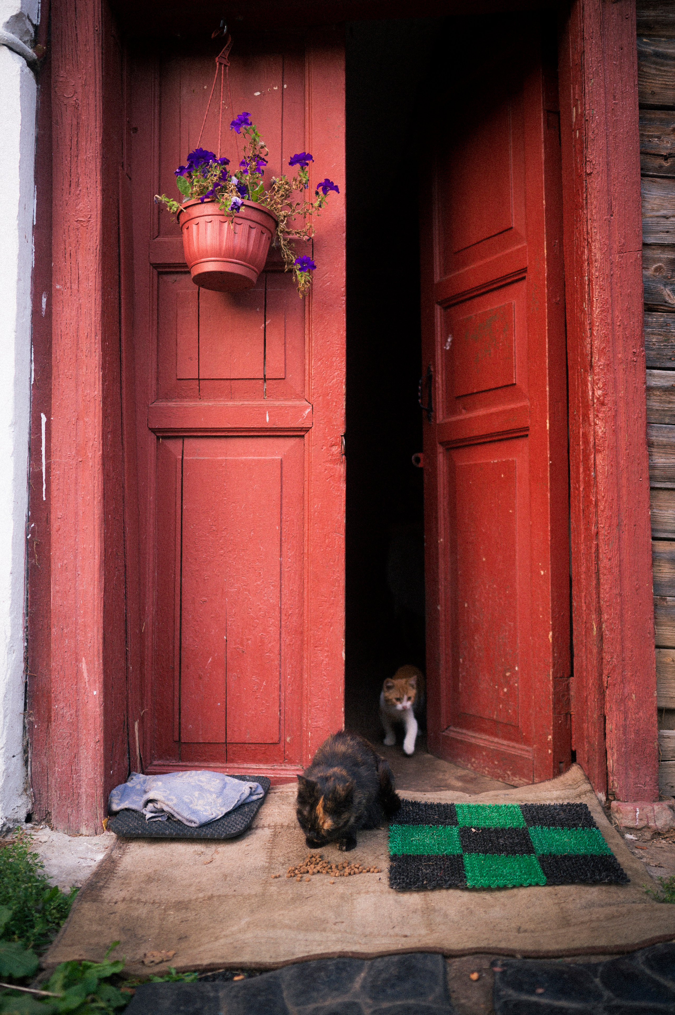 Vladimir — Suzdal trip. Kartascheff