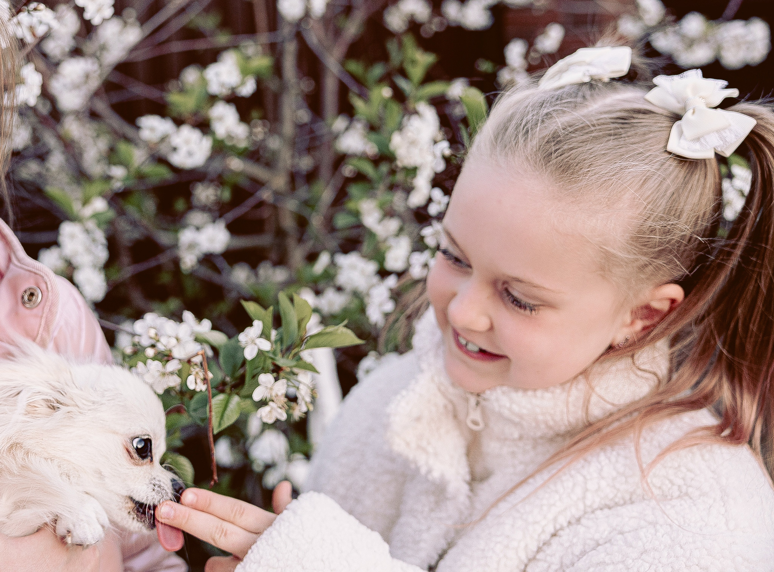 Фотосессия питомцев. Фотограф в Казани Ольга Яшина