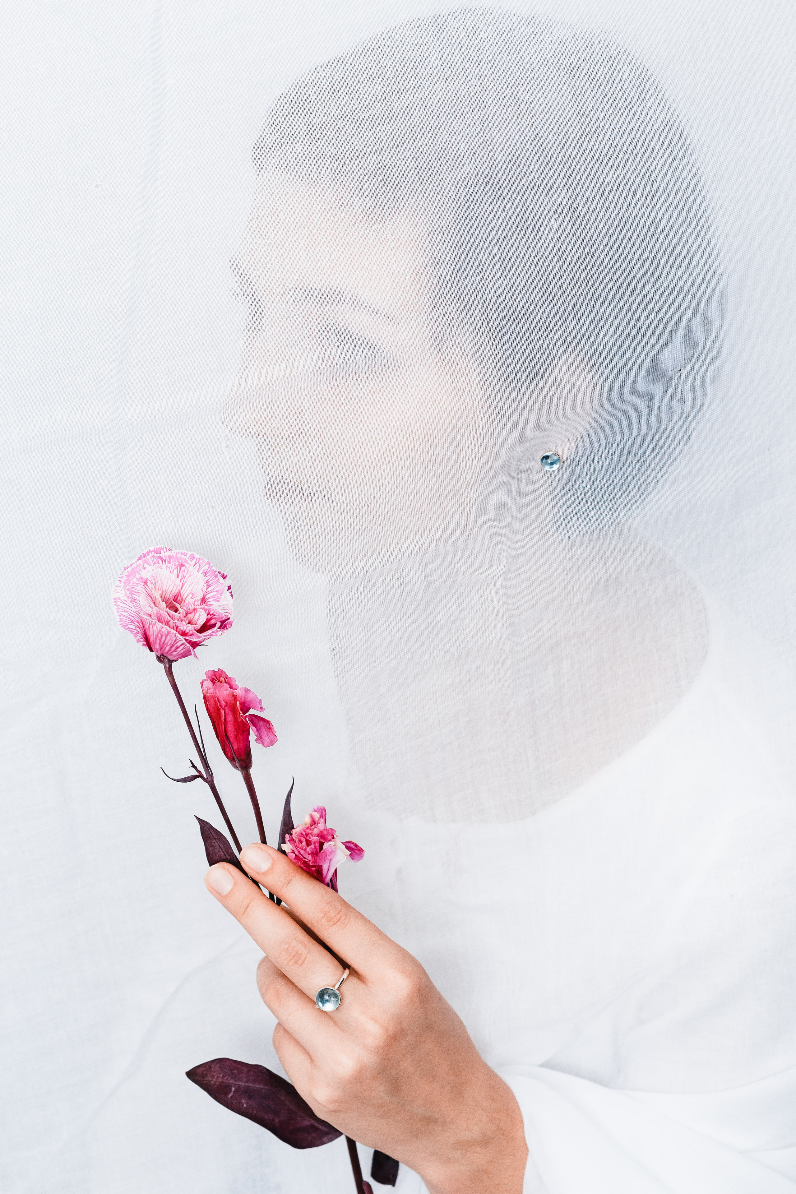 Предметка. Видеограф Добромыслов