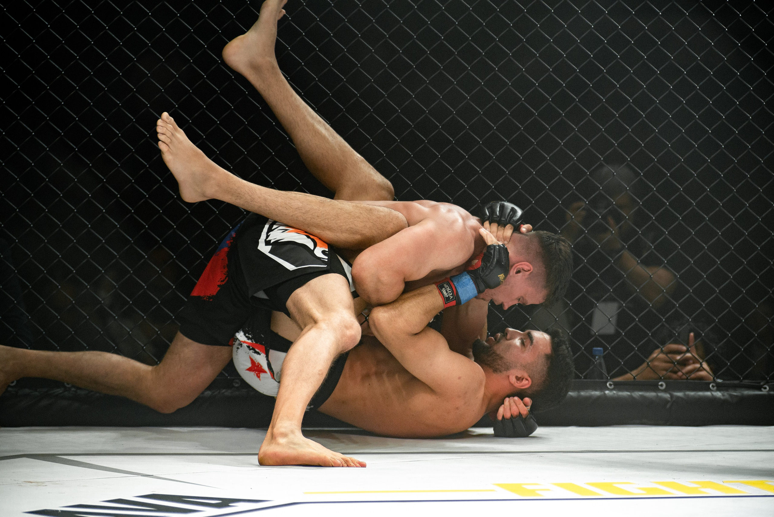 Miroslava Fight