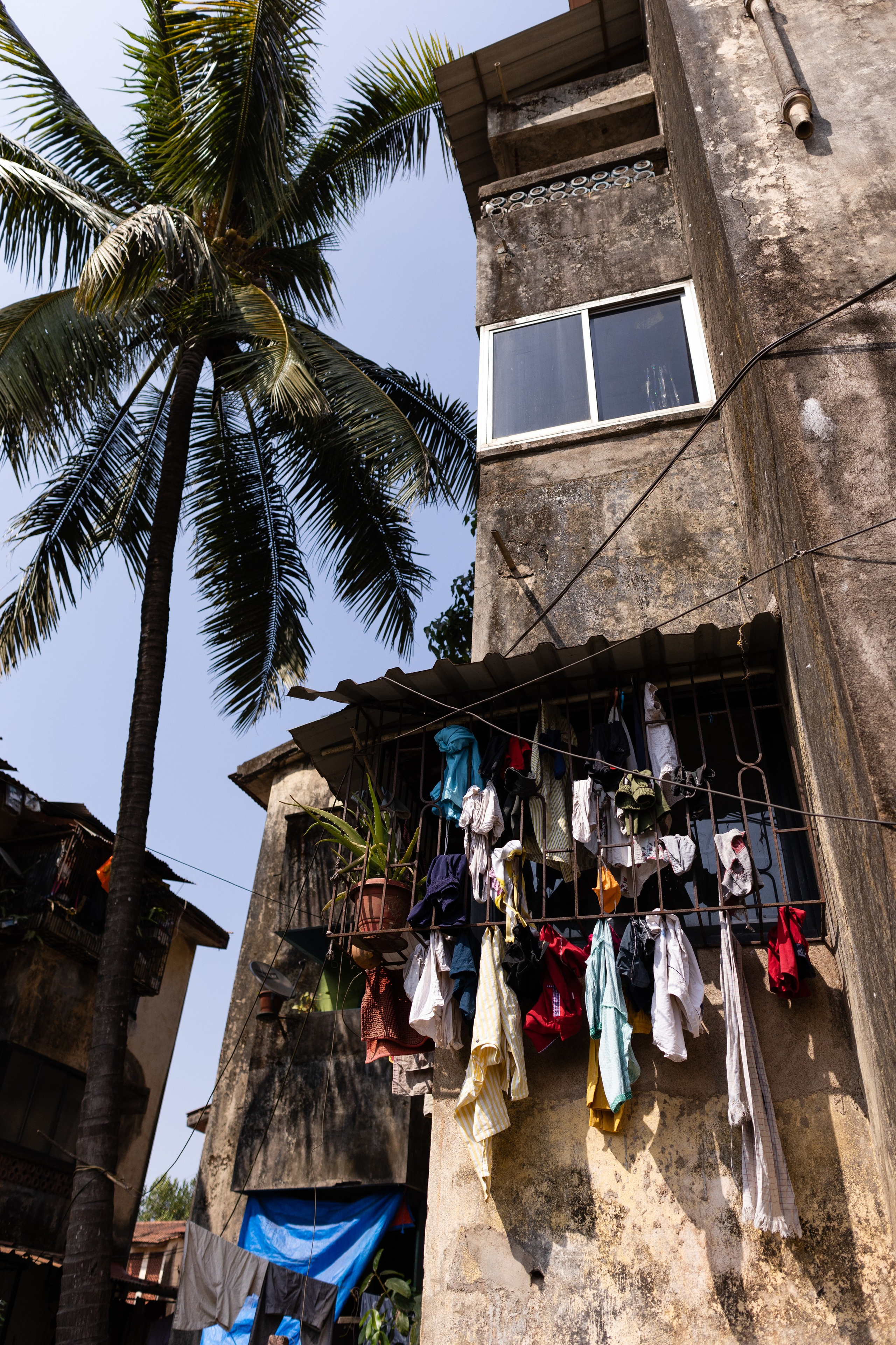 ГОА 2024. Руслан Плахтеев