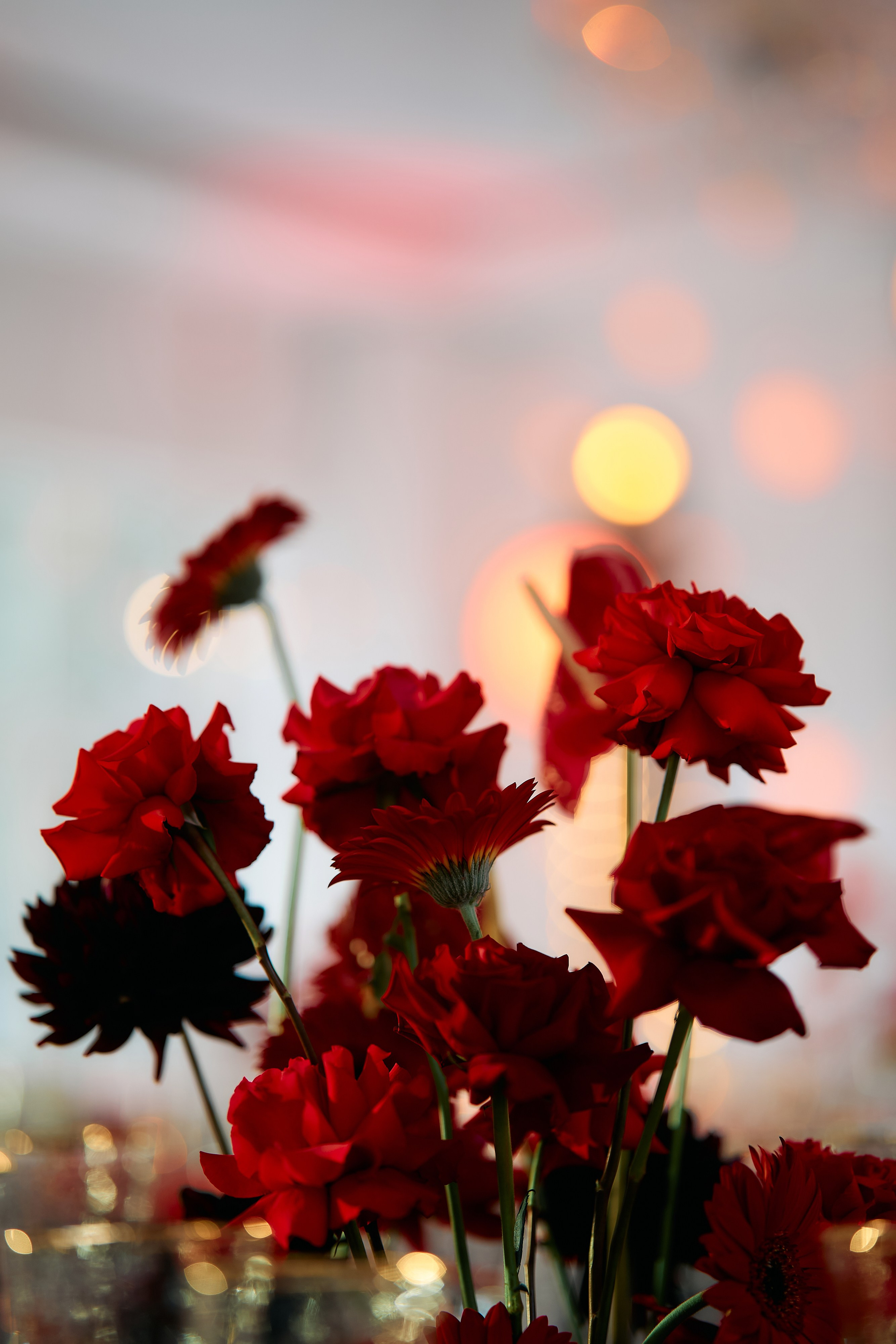 NIVA — день строителя. Свадебный фотограф Минск РБ