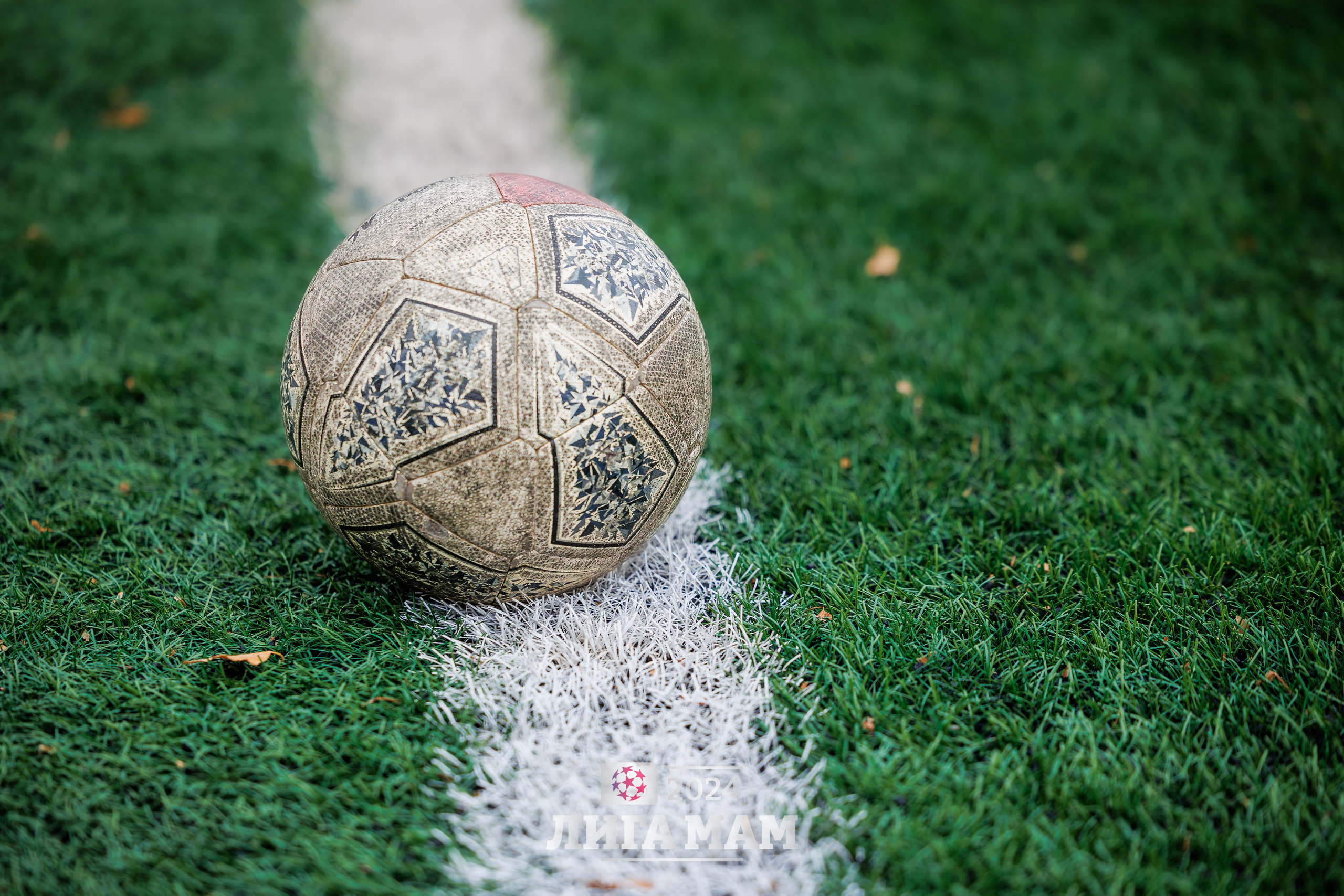 Услуги. Репортажный фотограф в Барнауле Владимир Игнатов