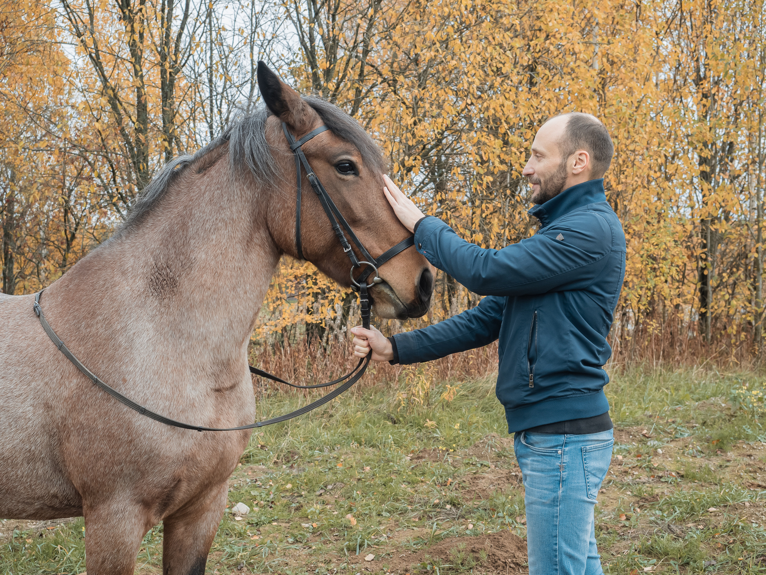 Фотосессия с лошадью. Отличные фотографии своих близких, своего бизнеса или даже себя. СПб