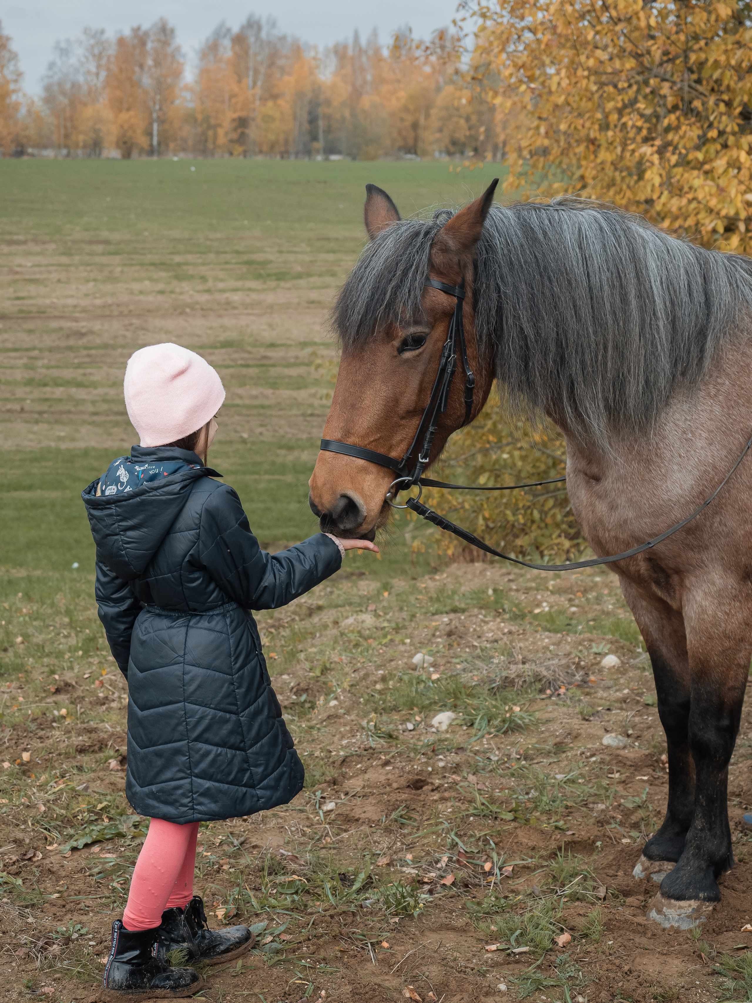 Фотосессия цена. Отличные фотографии своих близких, своего бизнеса или даже себя. СПб
