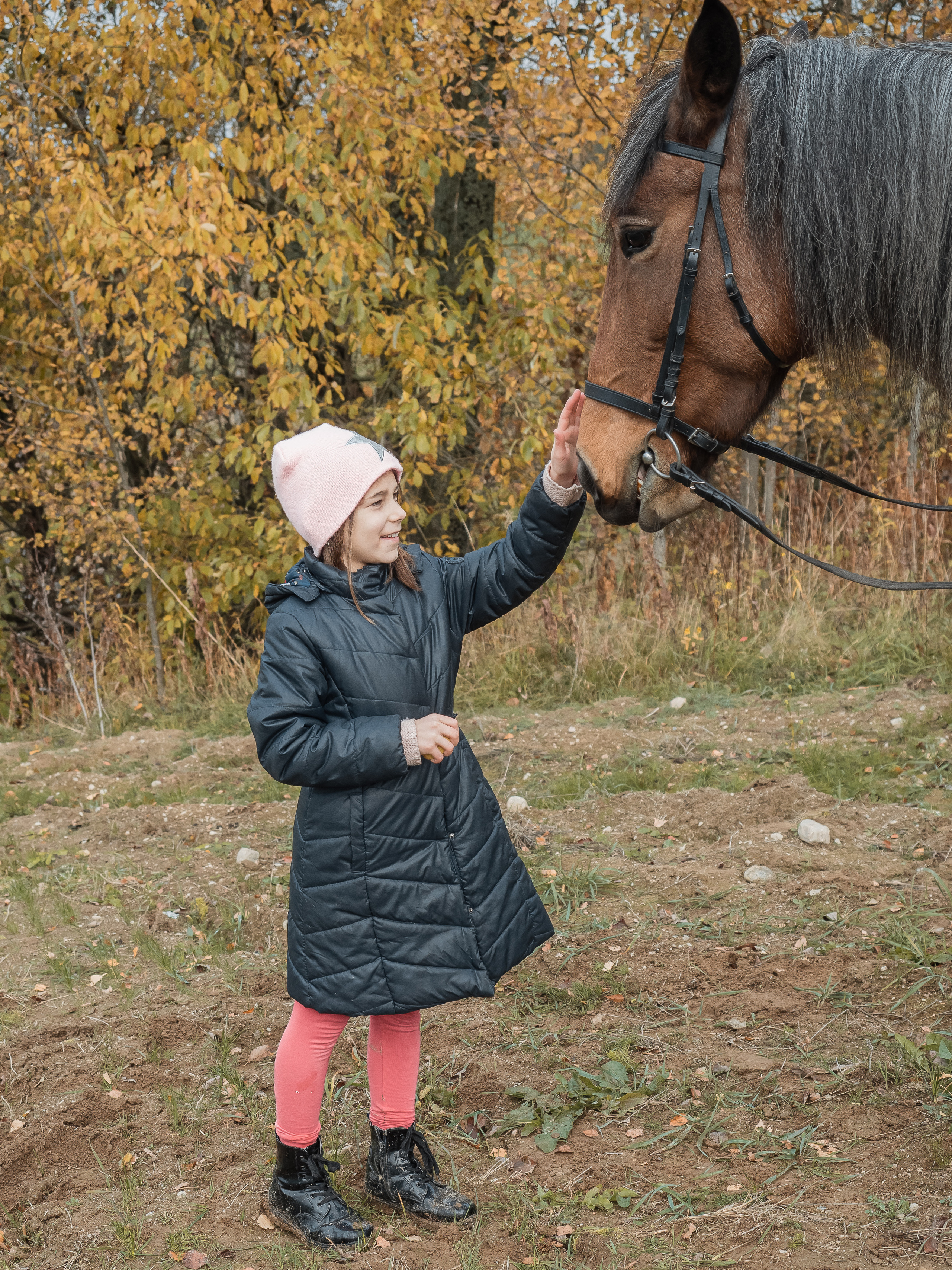Фотосессия с лошадью. Отличные фотографии своих близких, своего бизнеса или даже себя. СПб