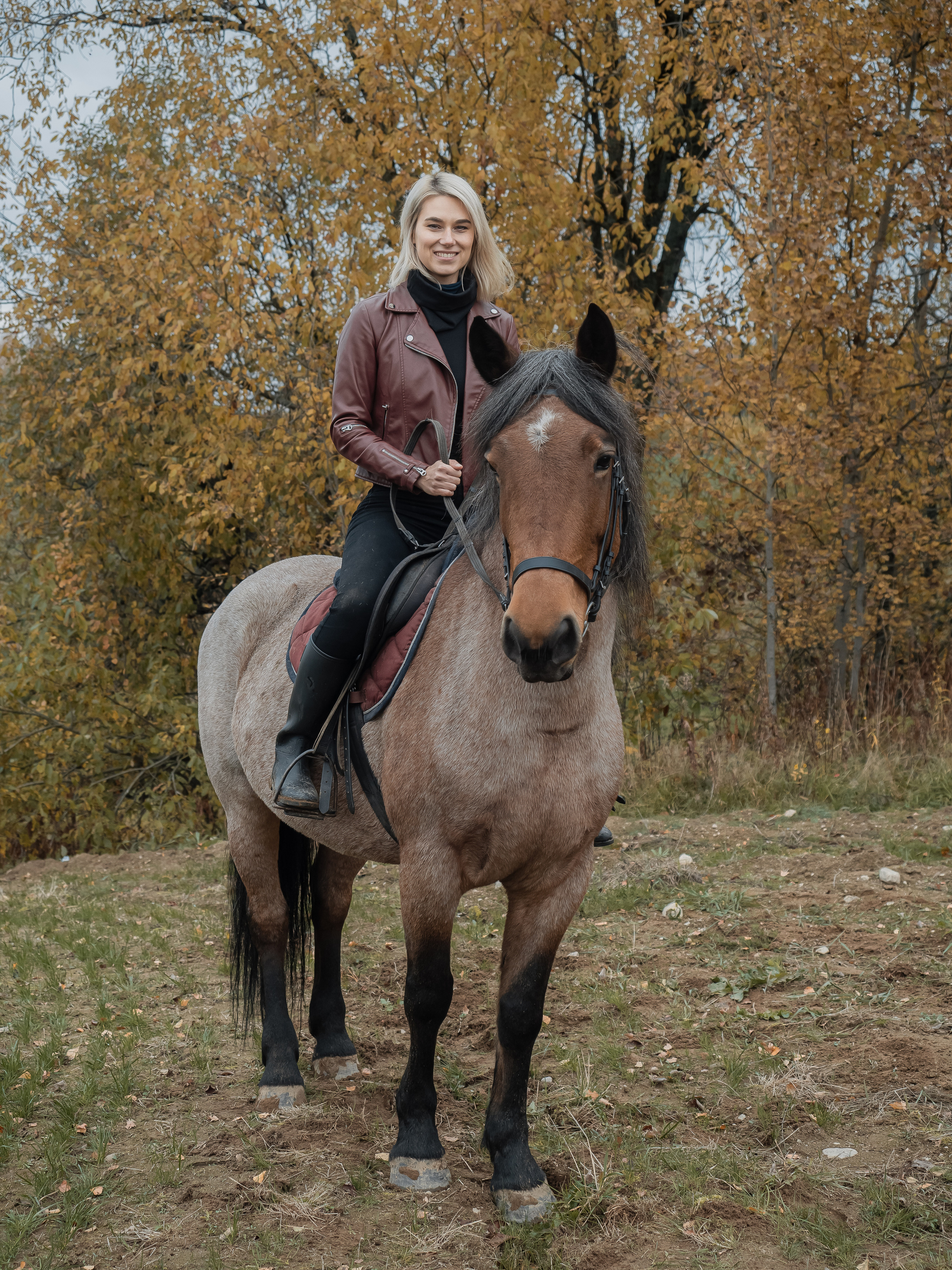 Фотосессия с лошадью. Отличные фотографии своих близких, своего бизнеса или даже себя. СПб