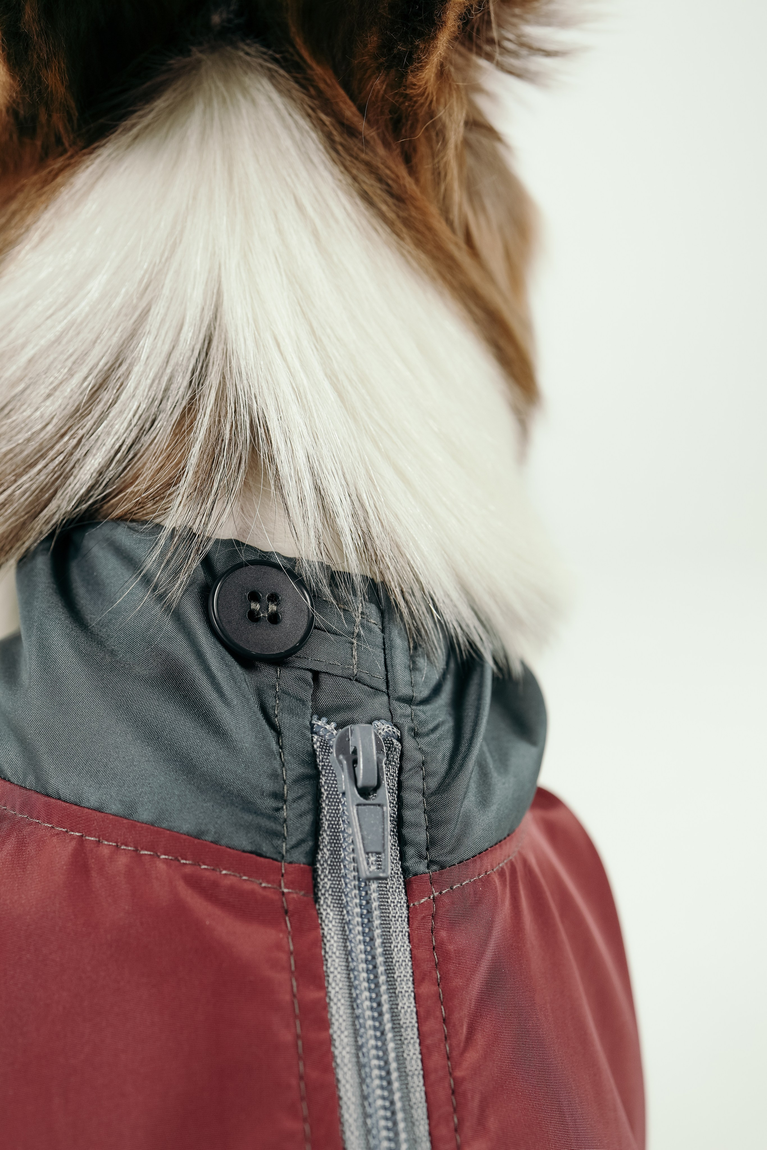 Для брендов. Фотограф- анималист Санкт-Петербург