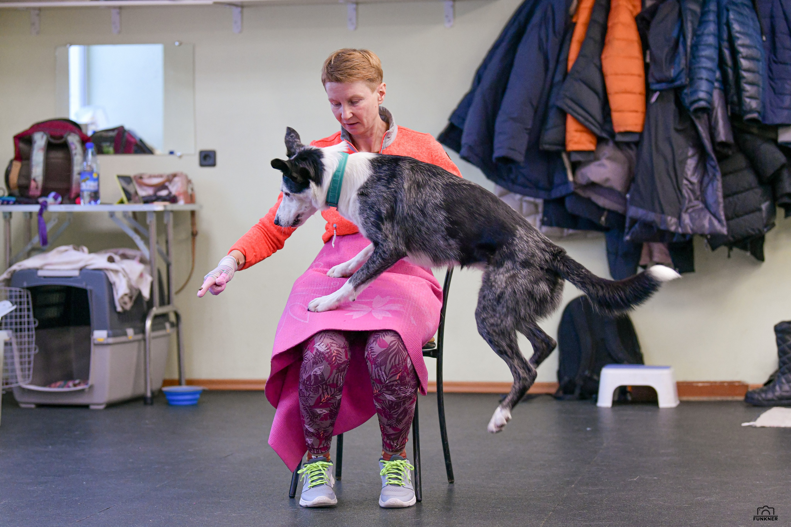 Кинологический клуб «Бодрый хвост». Свой взгляд через объектив