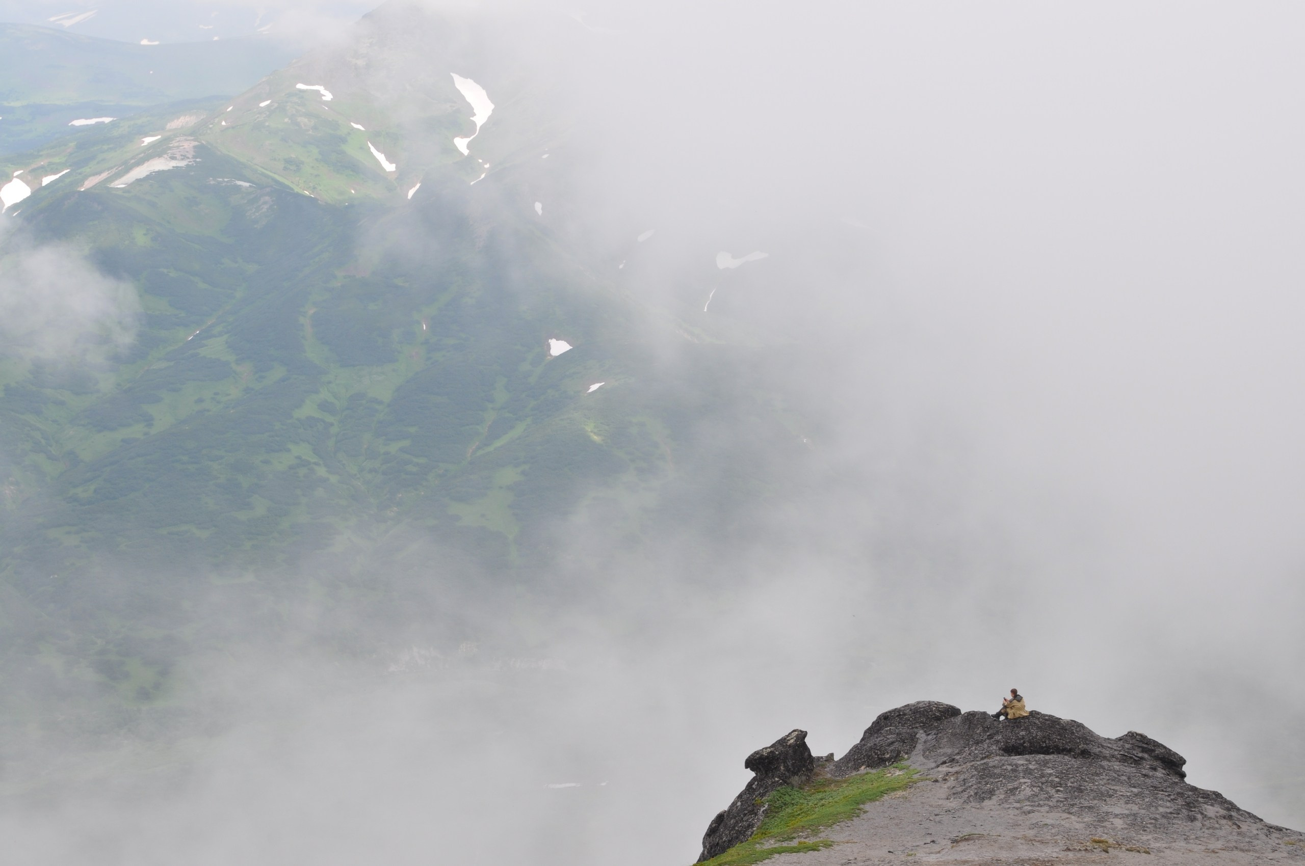 Begomvprofcom.wfolio.pro