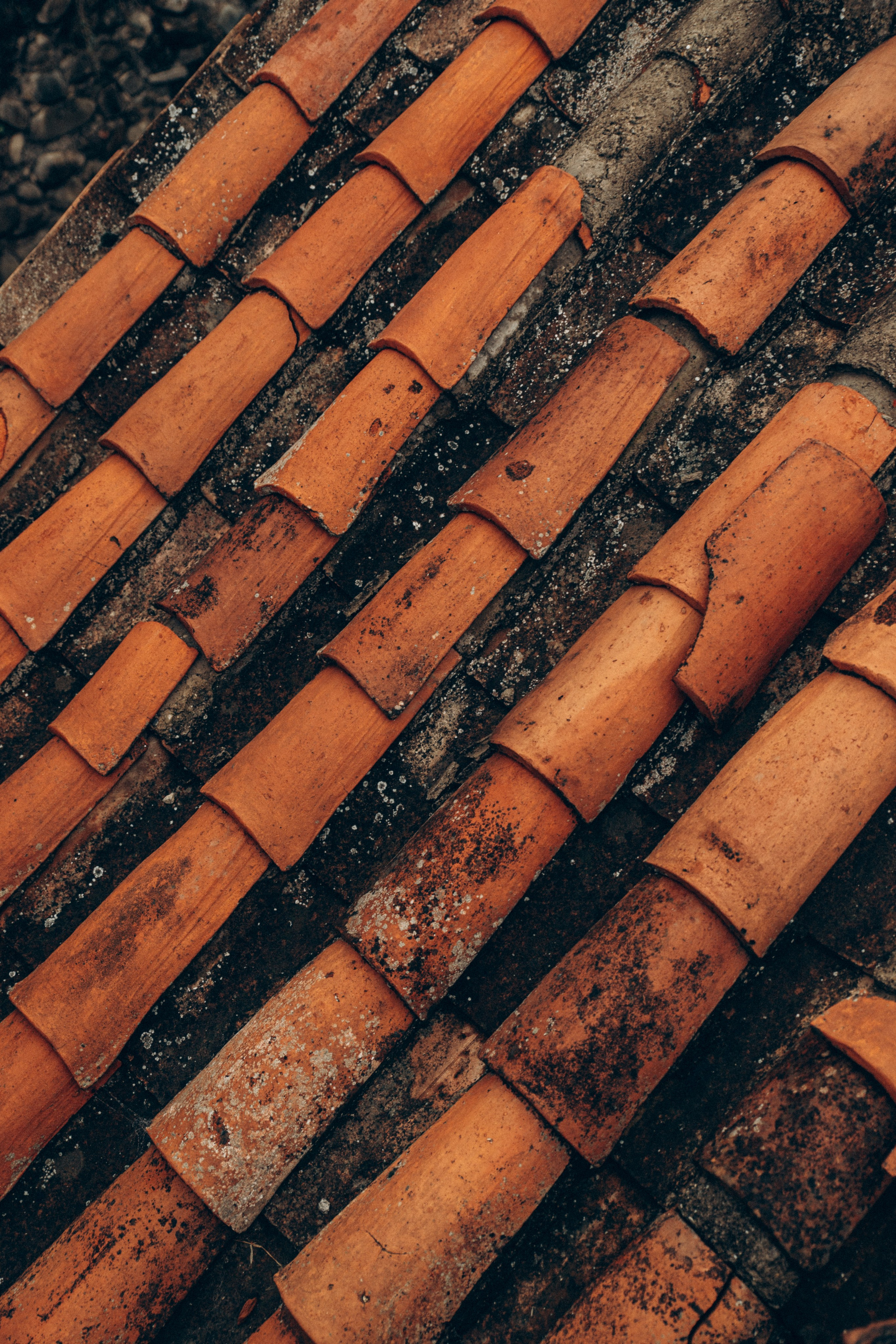 Грузия. Репортажный и детский фотограф в Минске