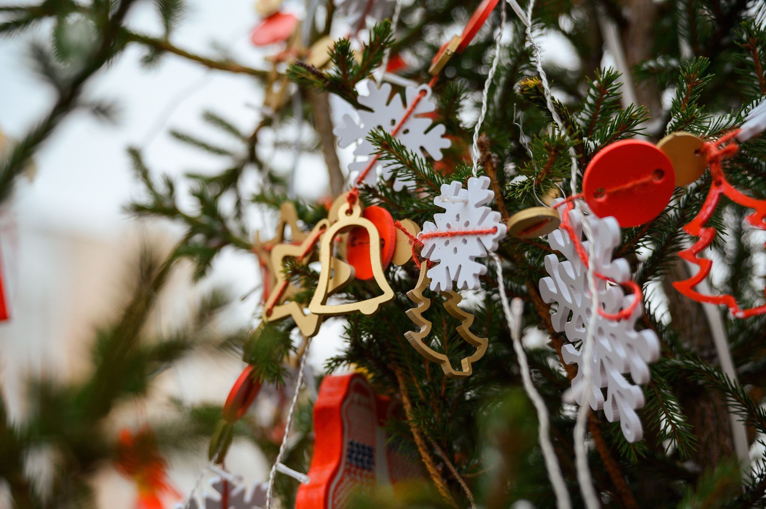 Новогодние волонтеры | Открытие Новогодней столицы Кирова 2025. Репортажный фотограф в Кирове Александр Лутошкин
