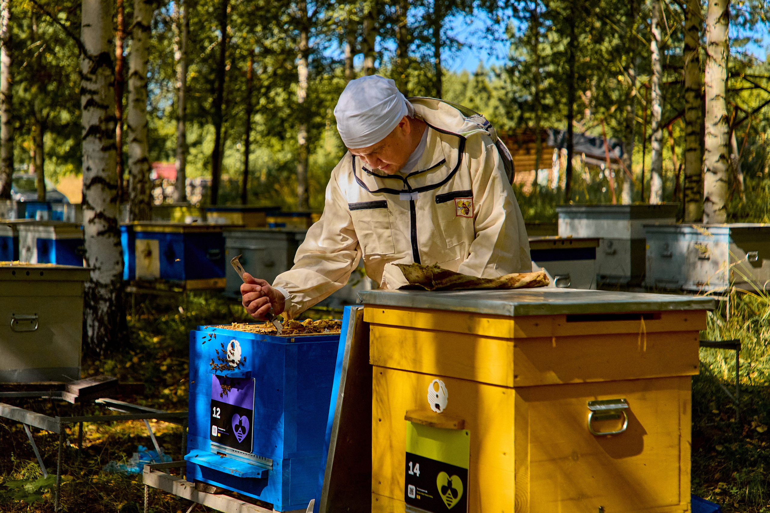 Pchelosharing. Святослав Лебедев | Рекламный фотограф — Коммерческая съемка, Арт-дирекшн, AI-интеграция
