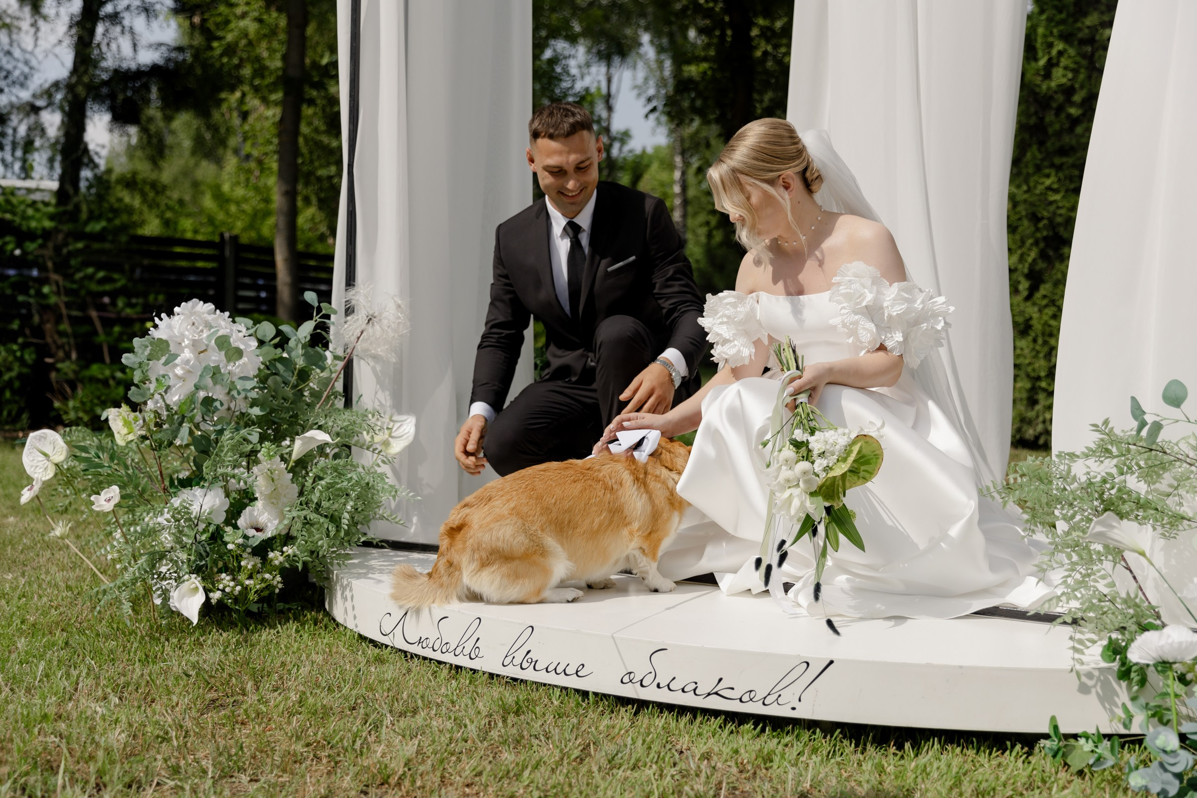 Свадьба пес и котики. Dima Lemeshevsky
