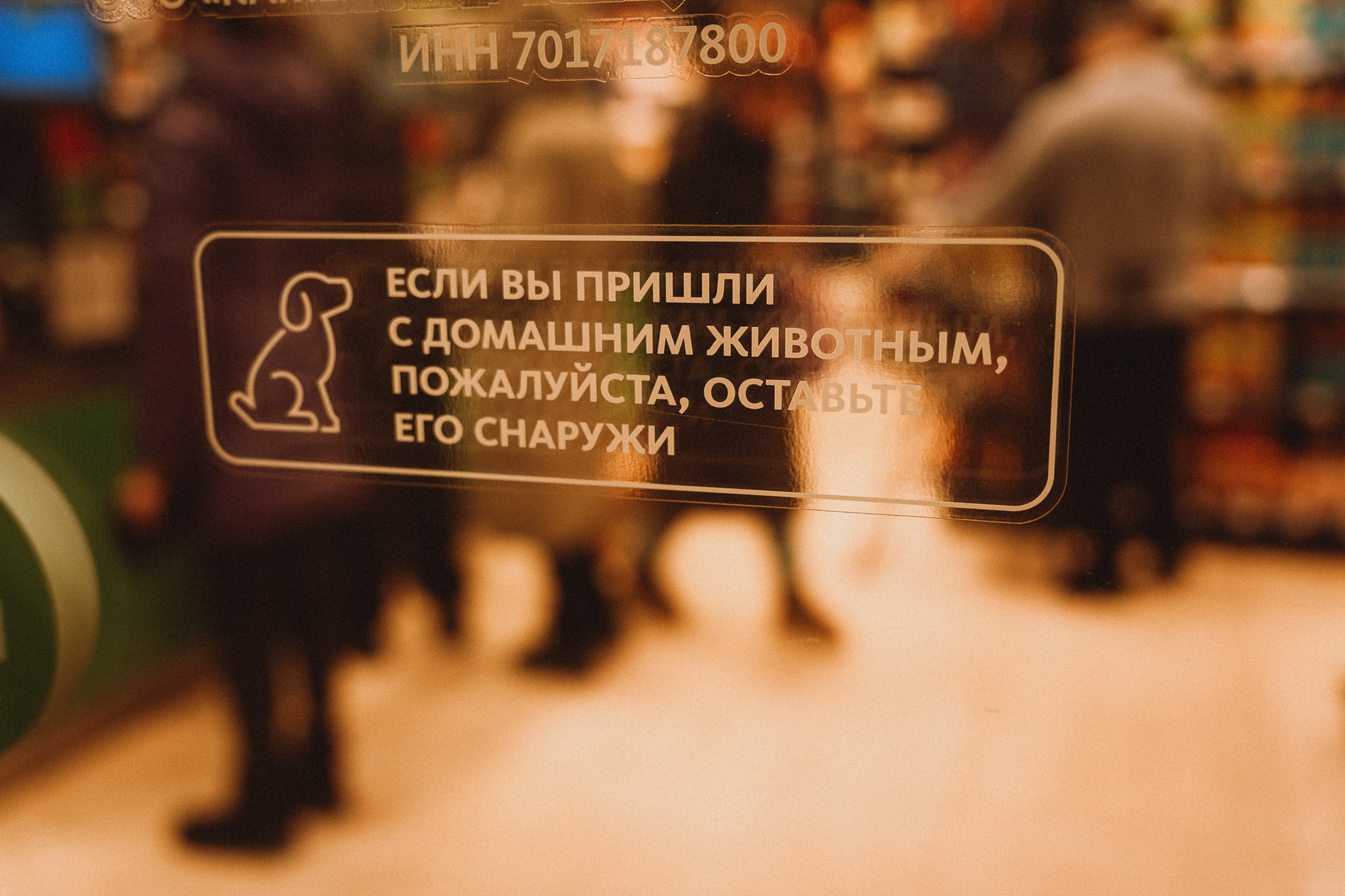 Саша и Ника. Фотограф в Новокузнецке Иван Дендин