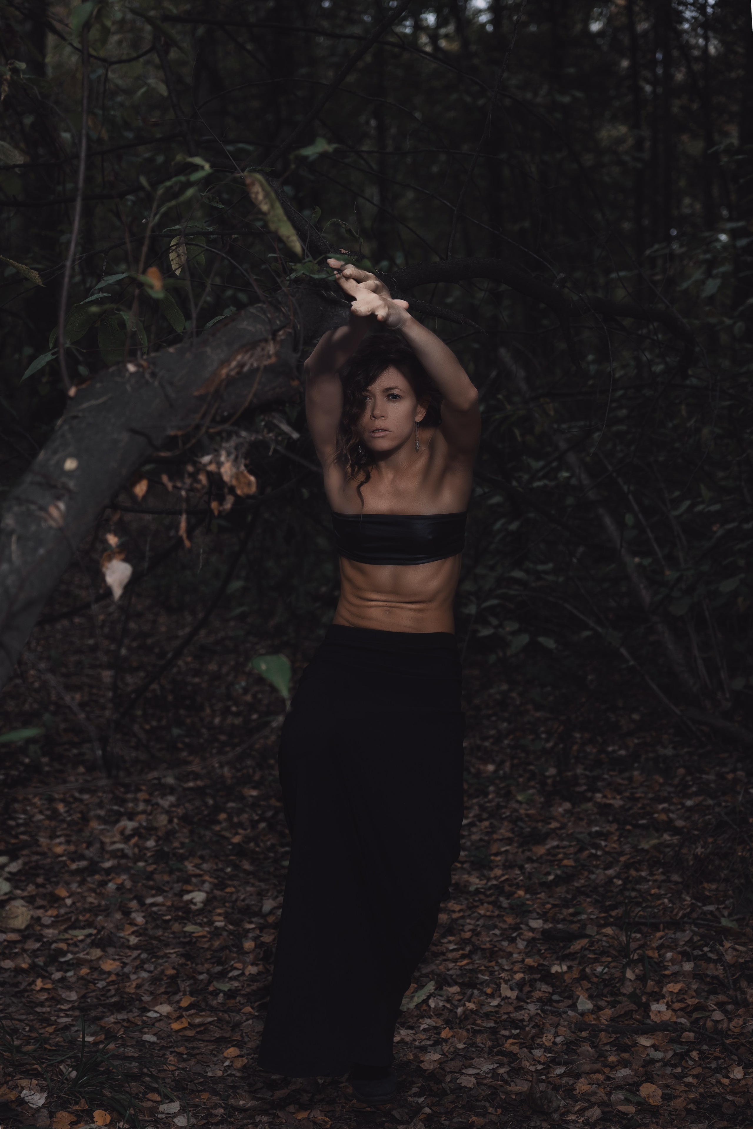 Kristina-Brauer. Shamirov Arkadiy