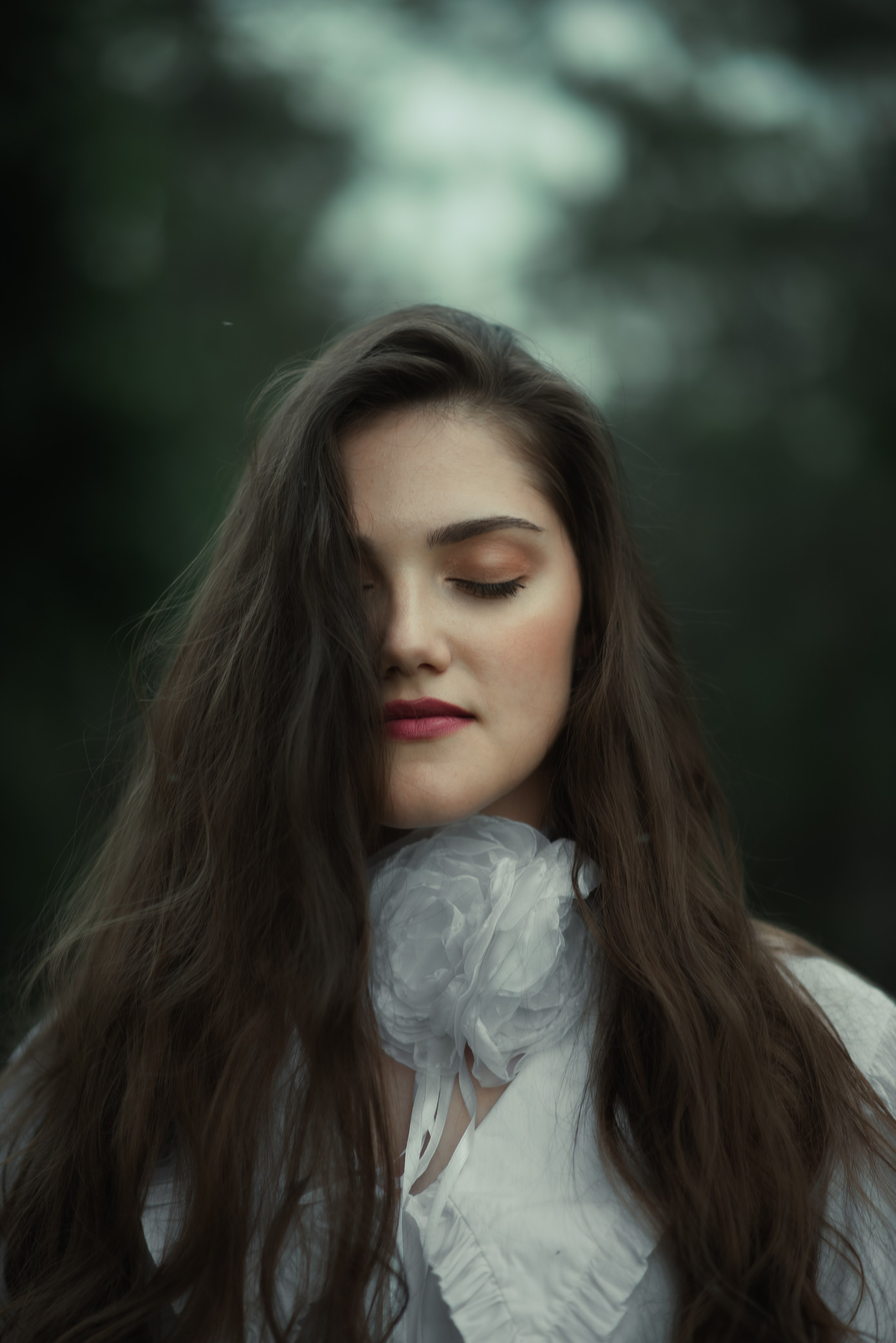 Сказочная аристократия. Главная