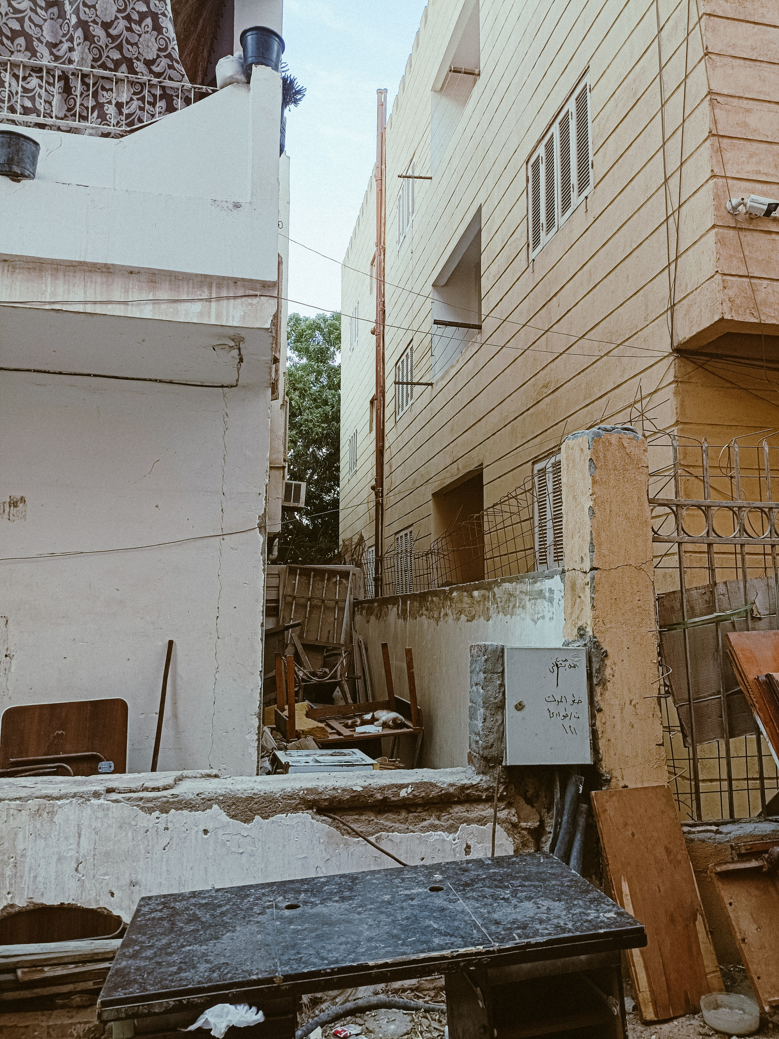 Мобильная. Jorgis — фотограф в Хургаде / обучение фотографии