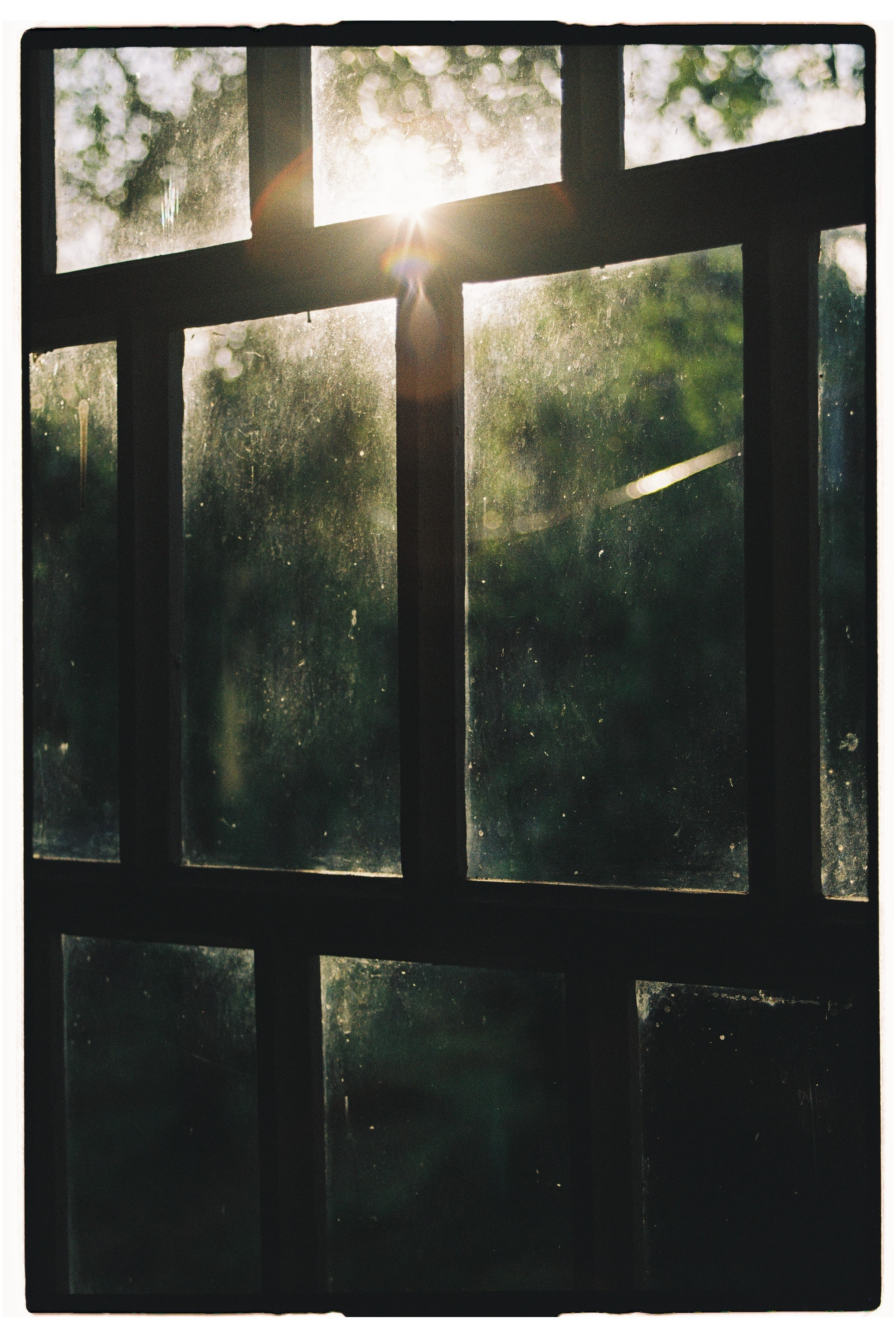 Film dairy. ㅤ