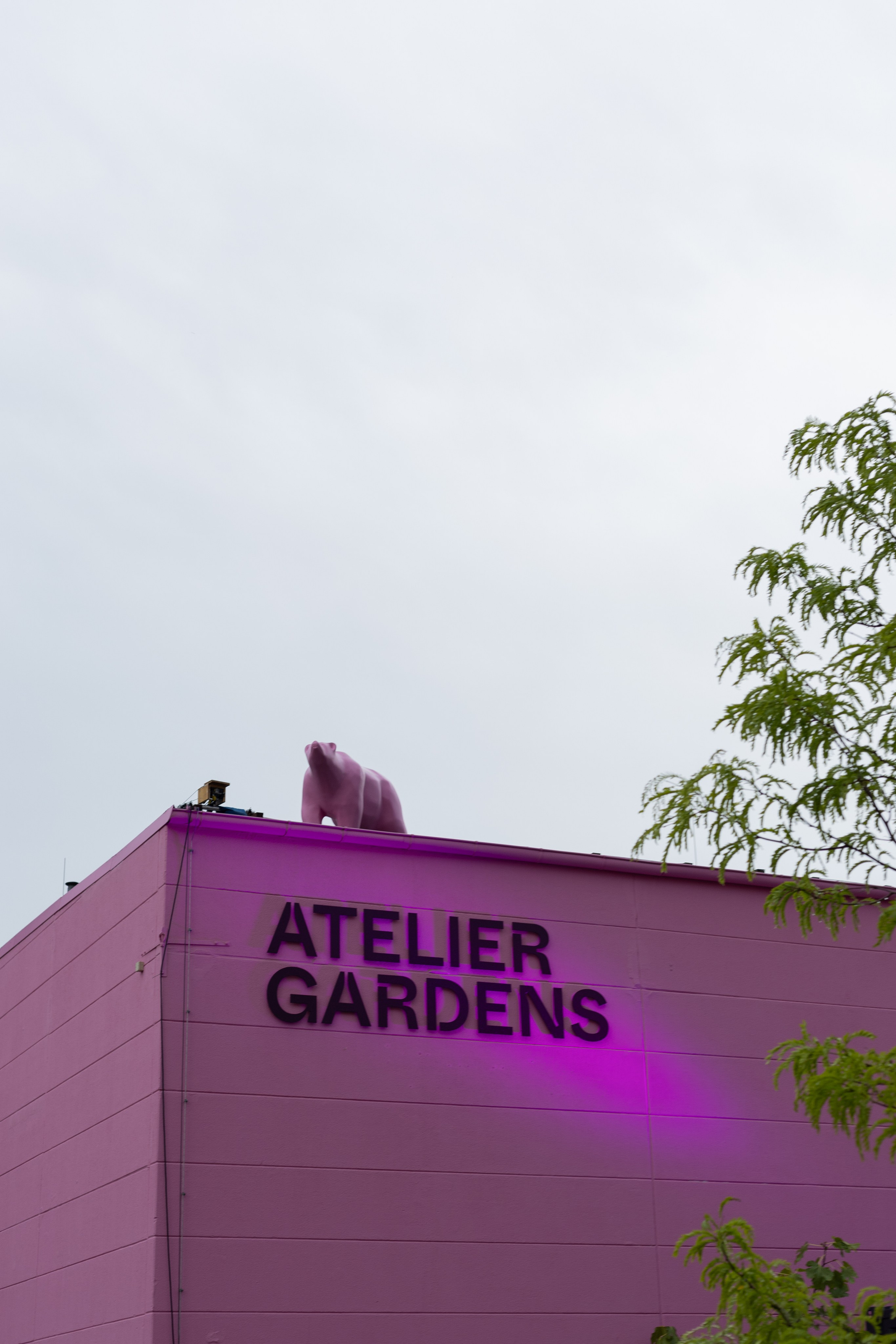 Berlin, music festival. Magic photos