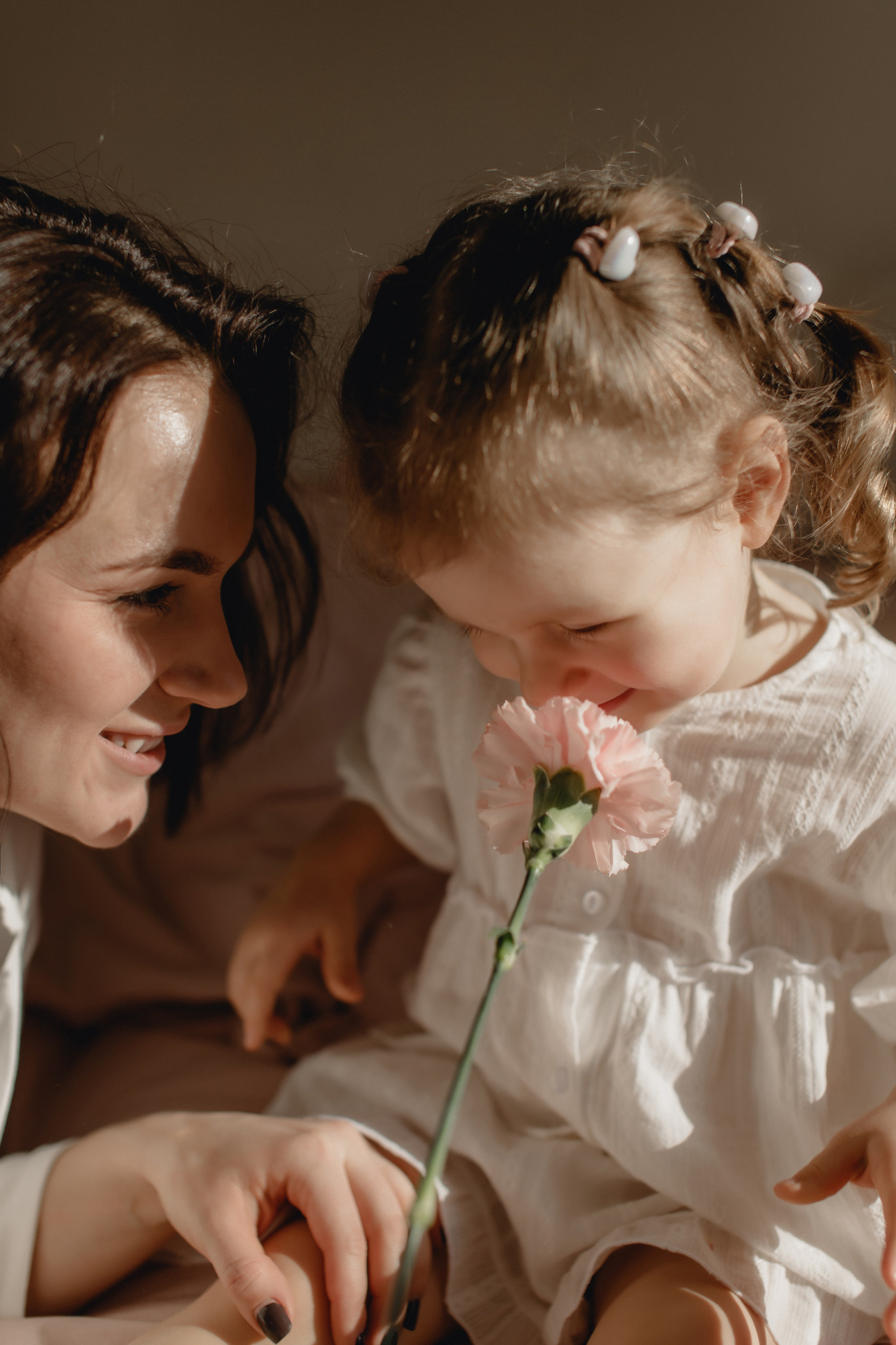 Весенние Аня и Ариша. Главная