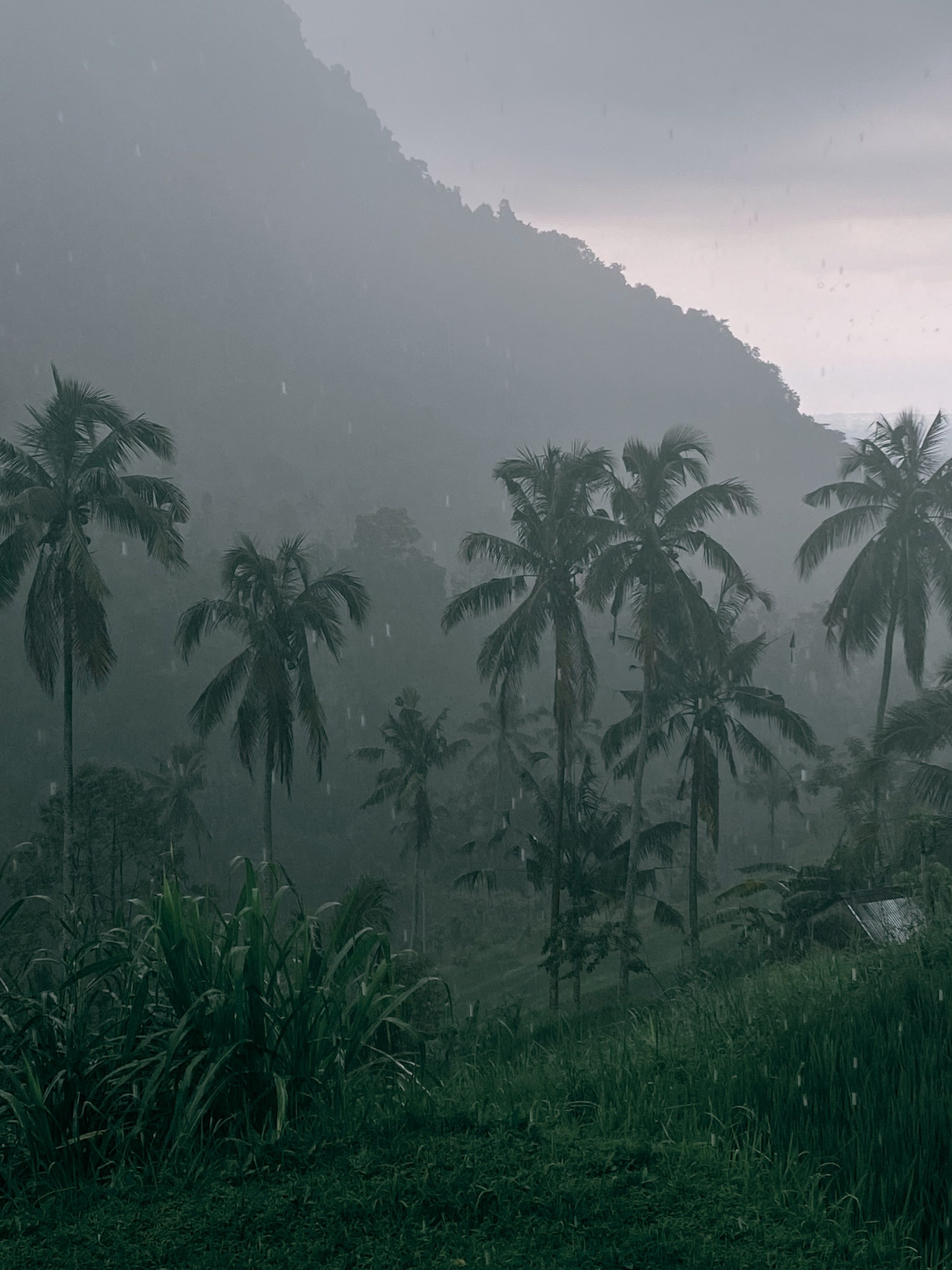 Asia. Olya Filina | Moscow Photographer