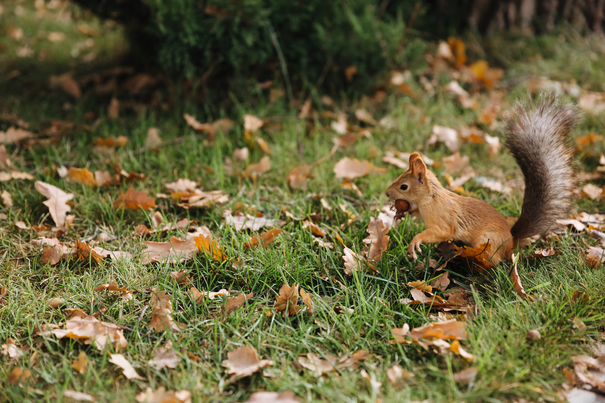 Свадьба в Самаре LOVE UNLIMITED