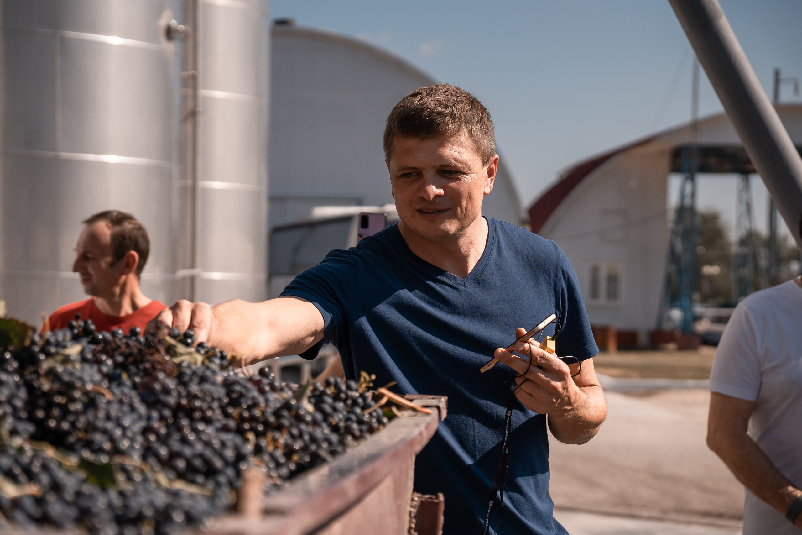 Винзавод. Фотограф из Краснодара Чеснокова Екатерина