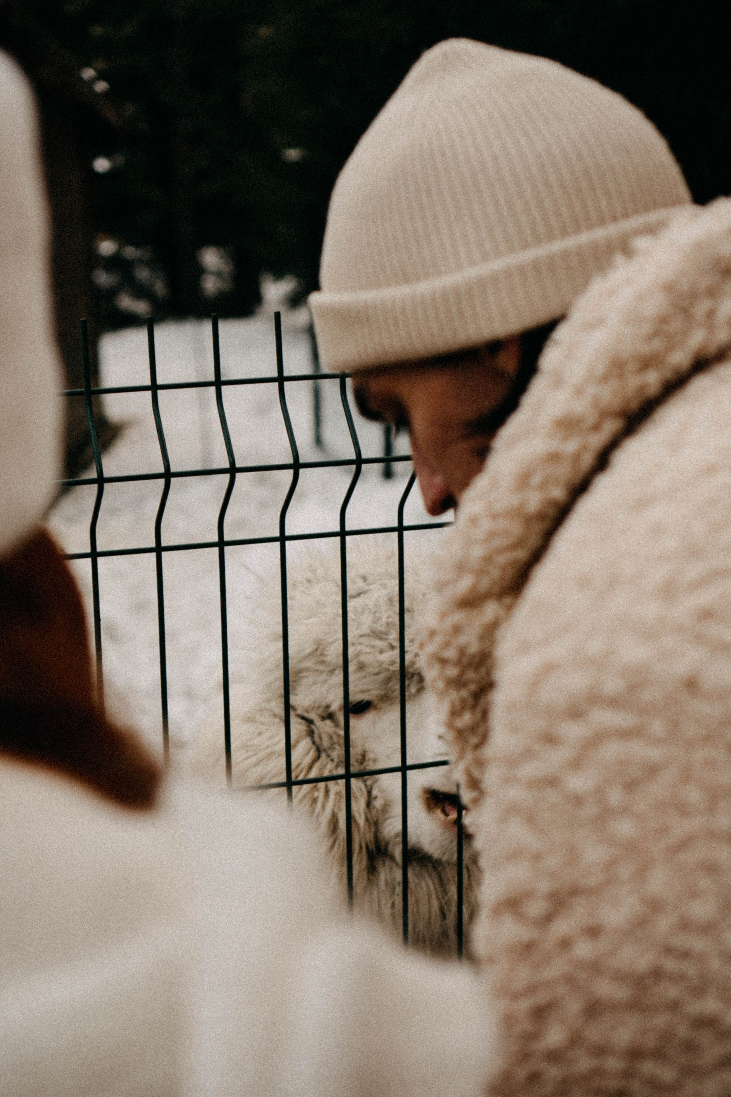 Каток. Профессиональный фотограф, Санкт-Петербург — Виктория Богомолова