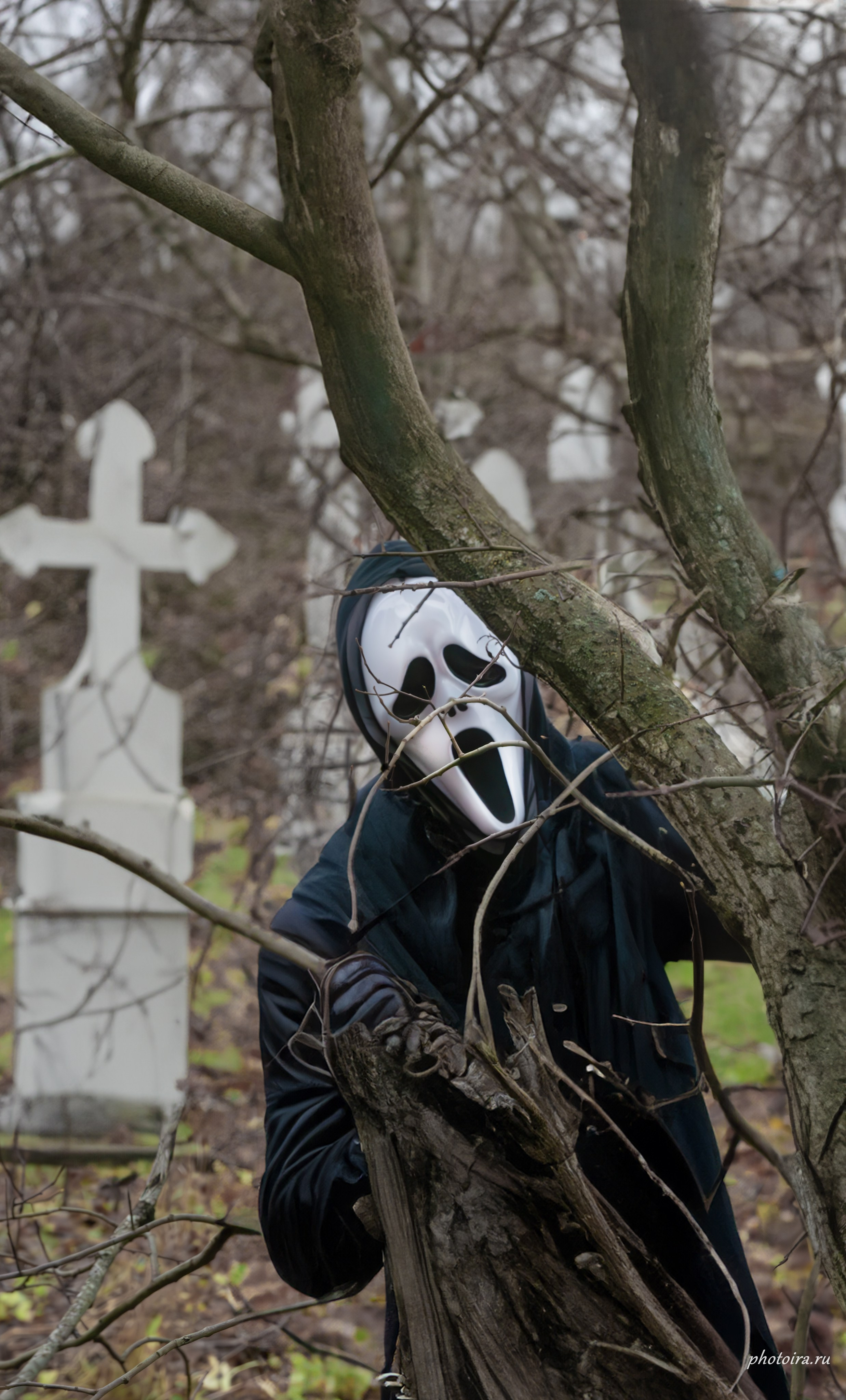 Тематическое фото. Семейный фотограф в г. Гатчина