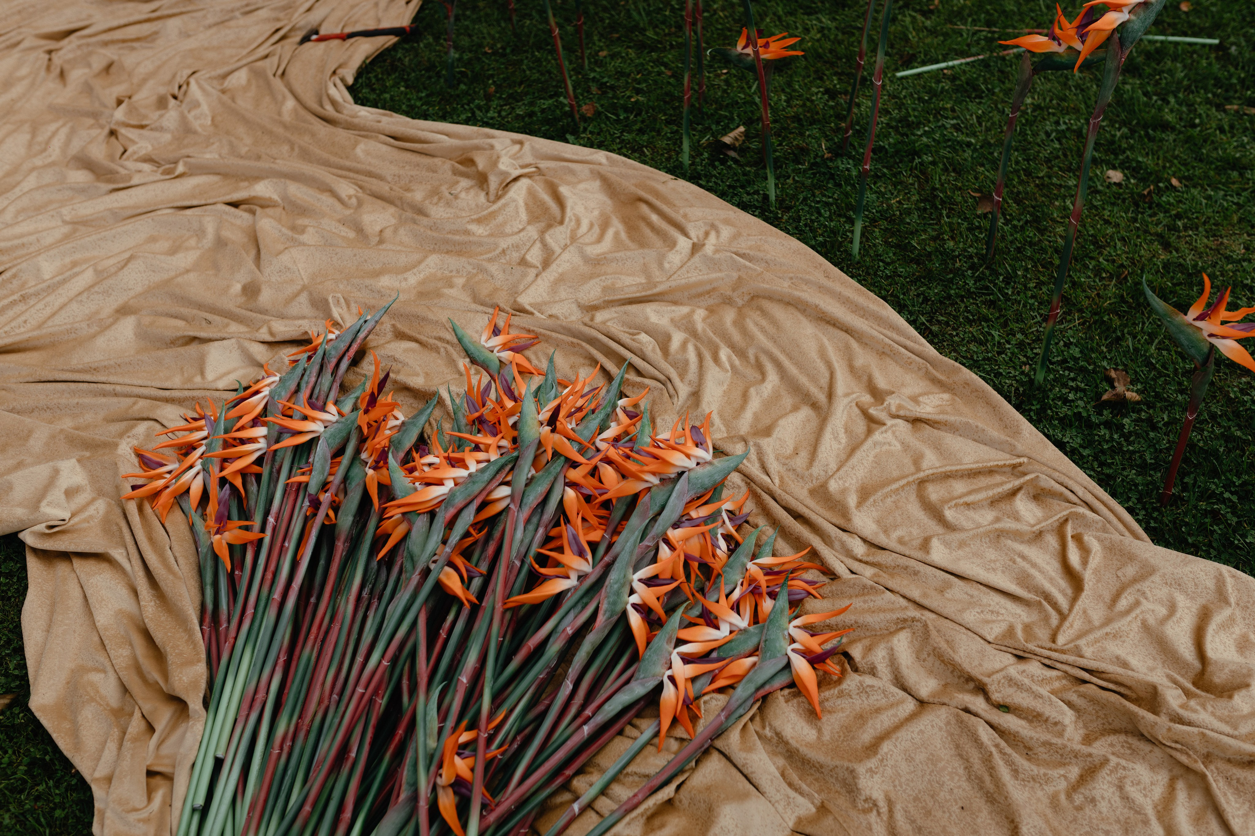 Петр и Екатерина. Свадебный и семейный фотограф во Владимире Белашова Анастасия