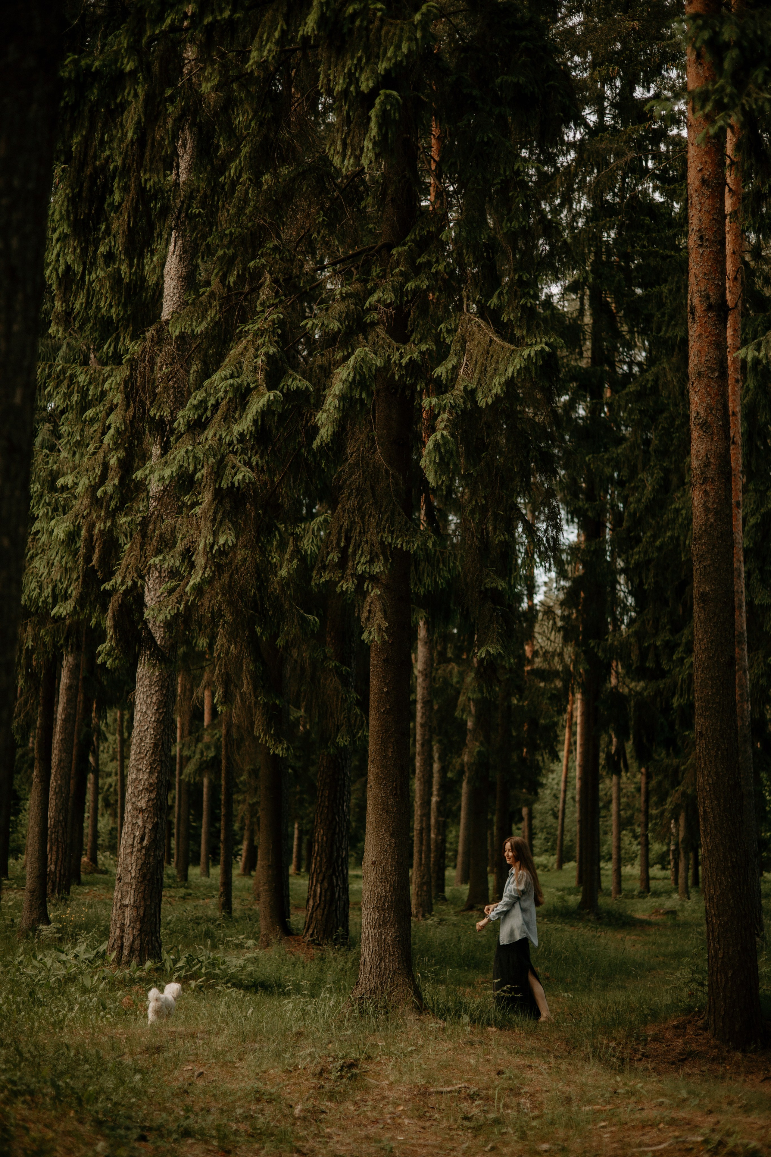 Оля и Джастин. Фотограф — анималист •love-story•|Санкт-Петербург