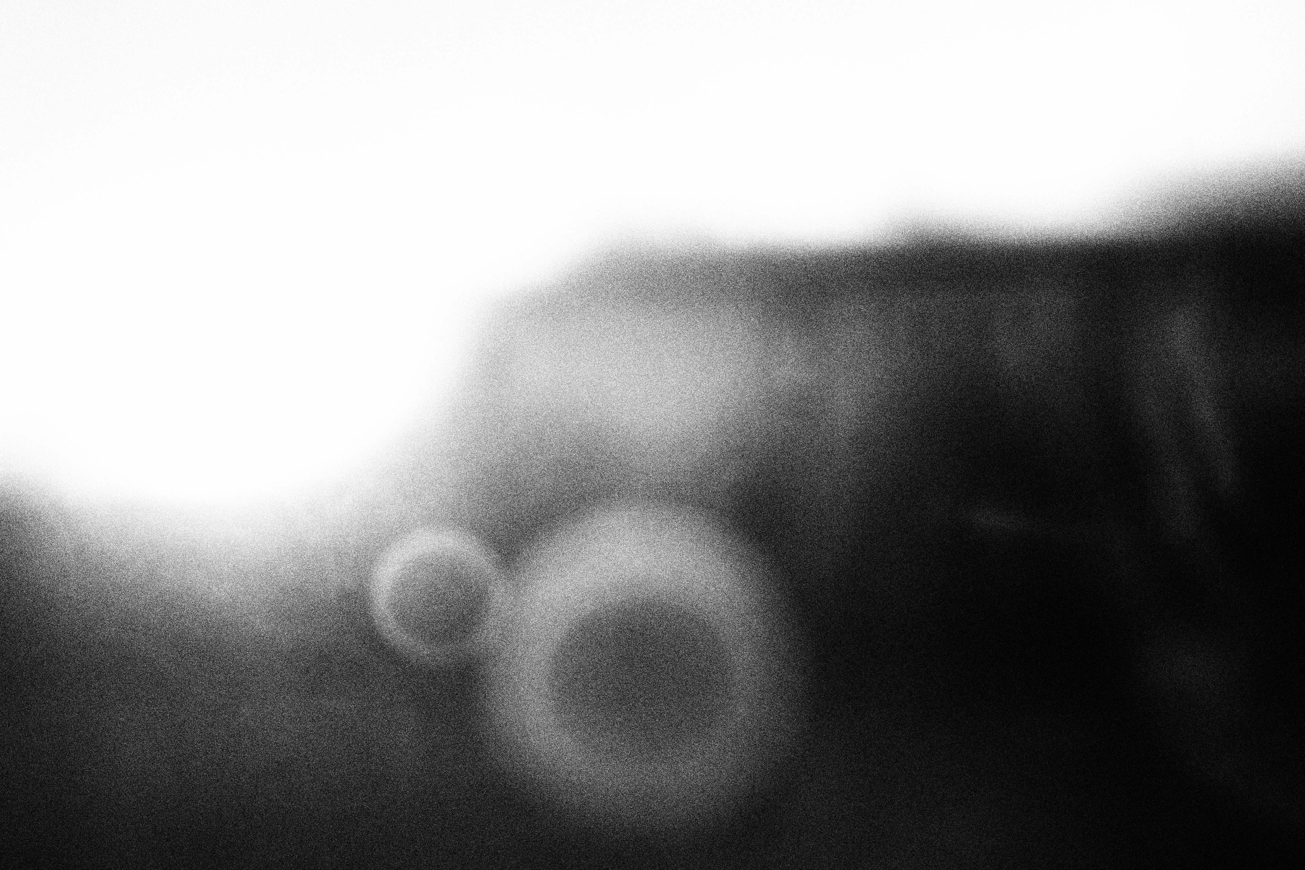 «Видеть. Чувствовать. Сохранять»