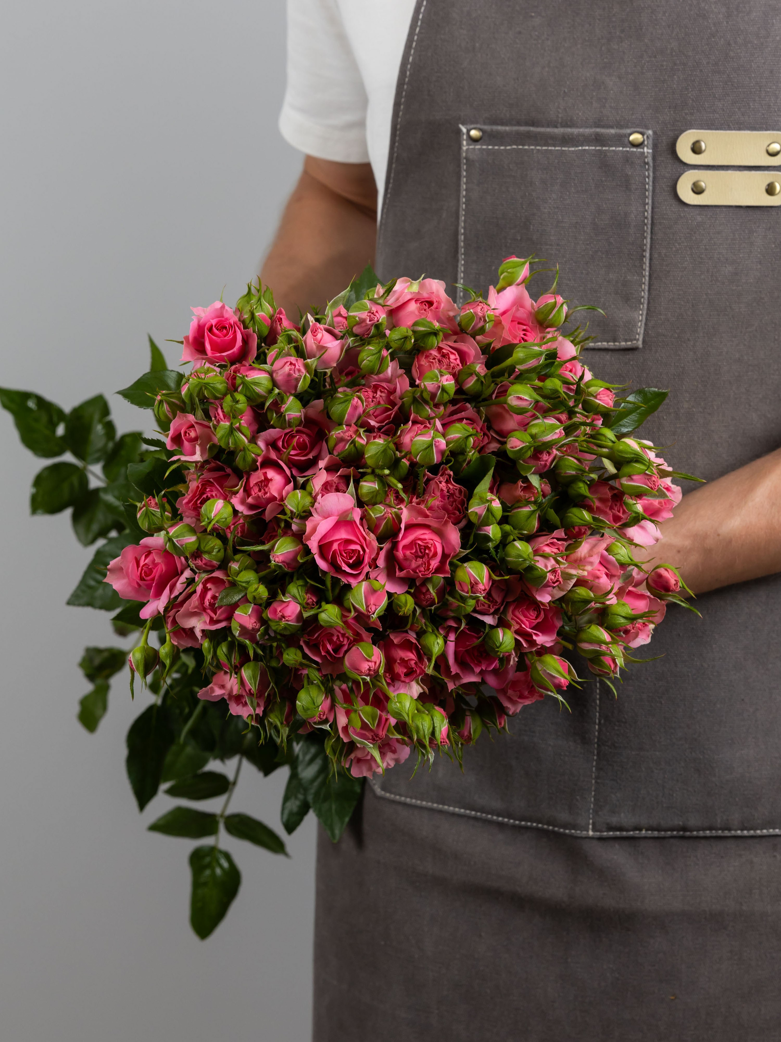 04.08.2025 Фотосессия сортов Цветополис. ФОТОГРАФ ВИНОГРАДОВА ДАРЬЯ