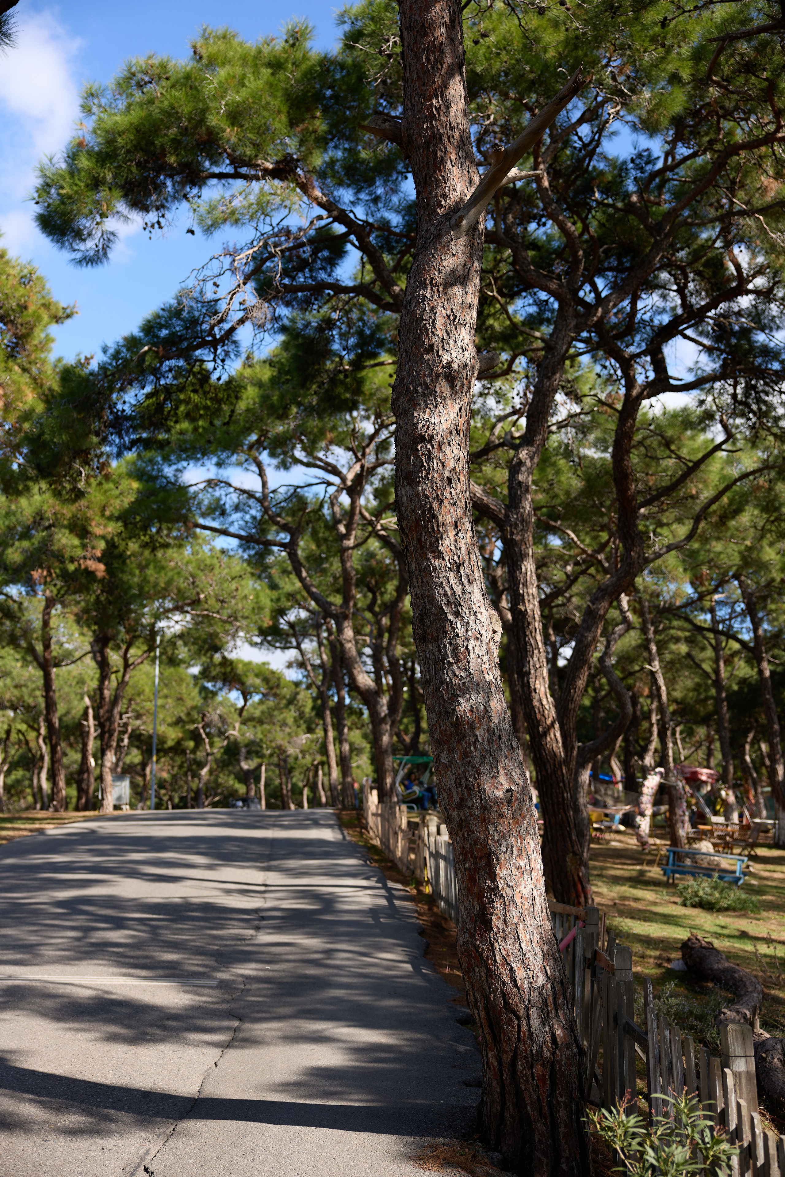 Стамбул 24. Фотограф Москва, Дима Пеллер