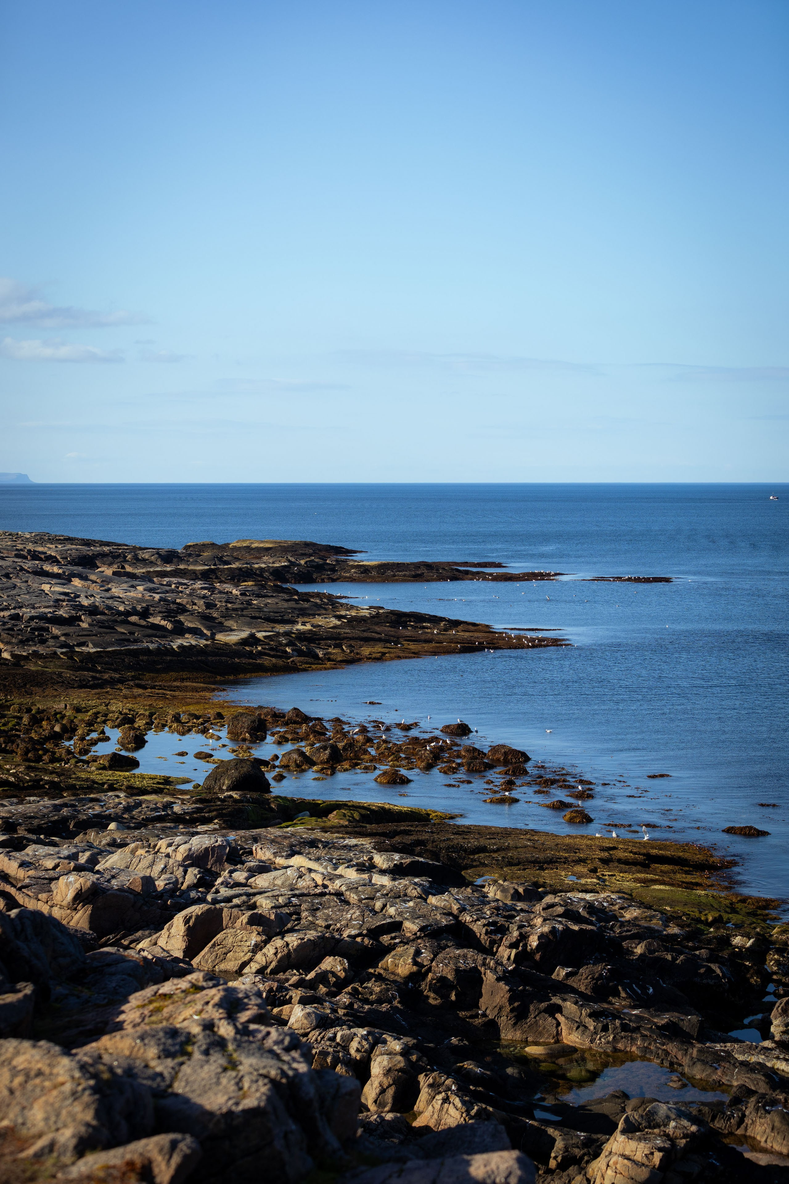 Кольский (осень 2025). Фотограф Виноградов Константин