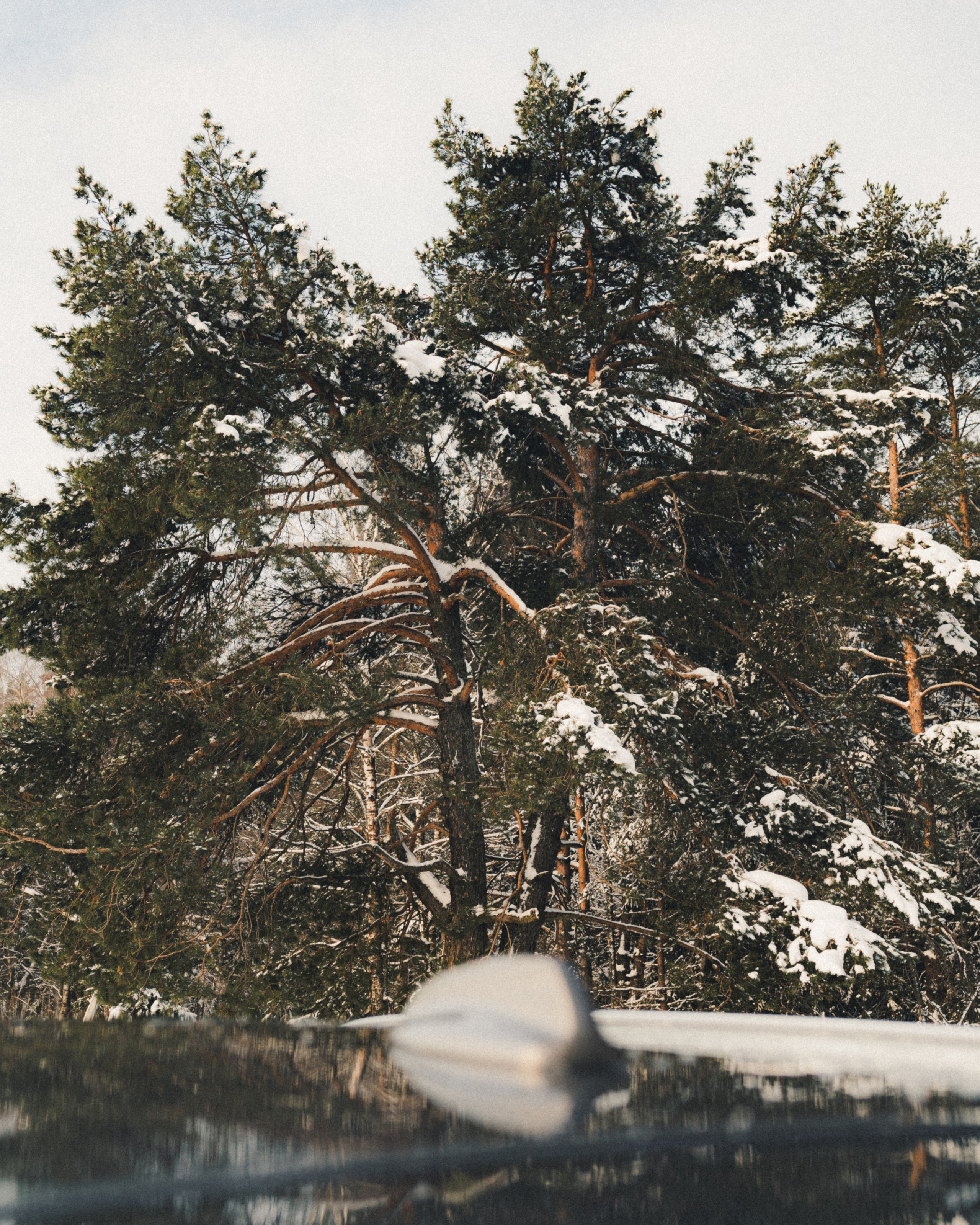 Автомобильная фотосессия Volvo XC90 + портрет владельца. Фотограф Илья К. в Москве